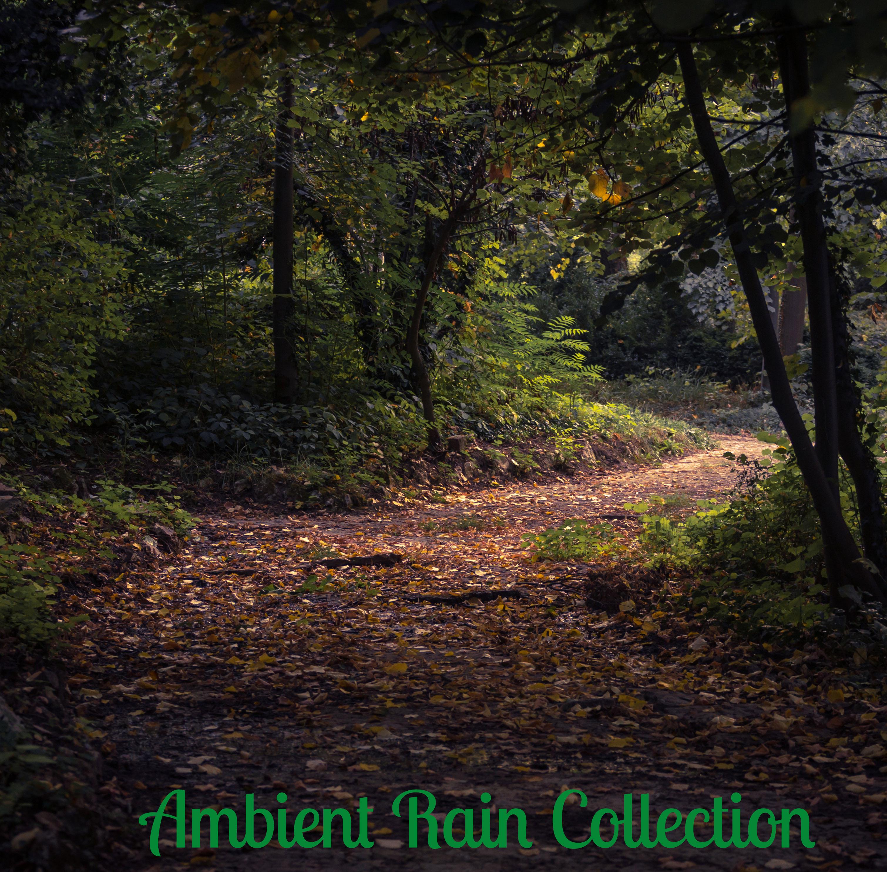 2017 Ambient Rain Collection. Sleep and Meditate Naturally