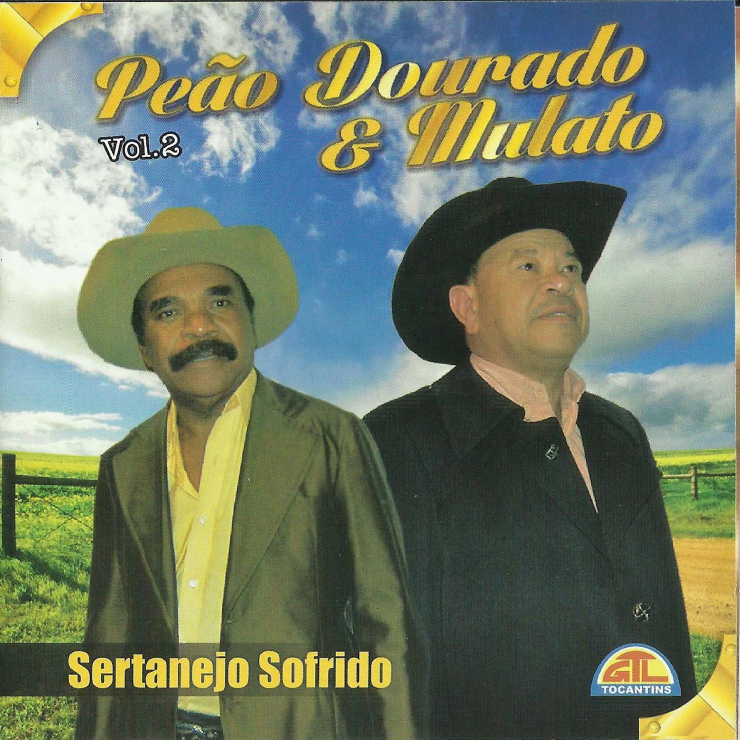 Sertanejo Sofrido, Vol. 2