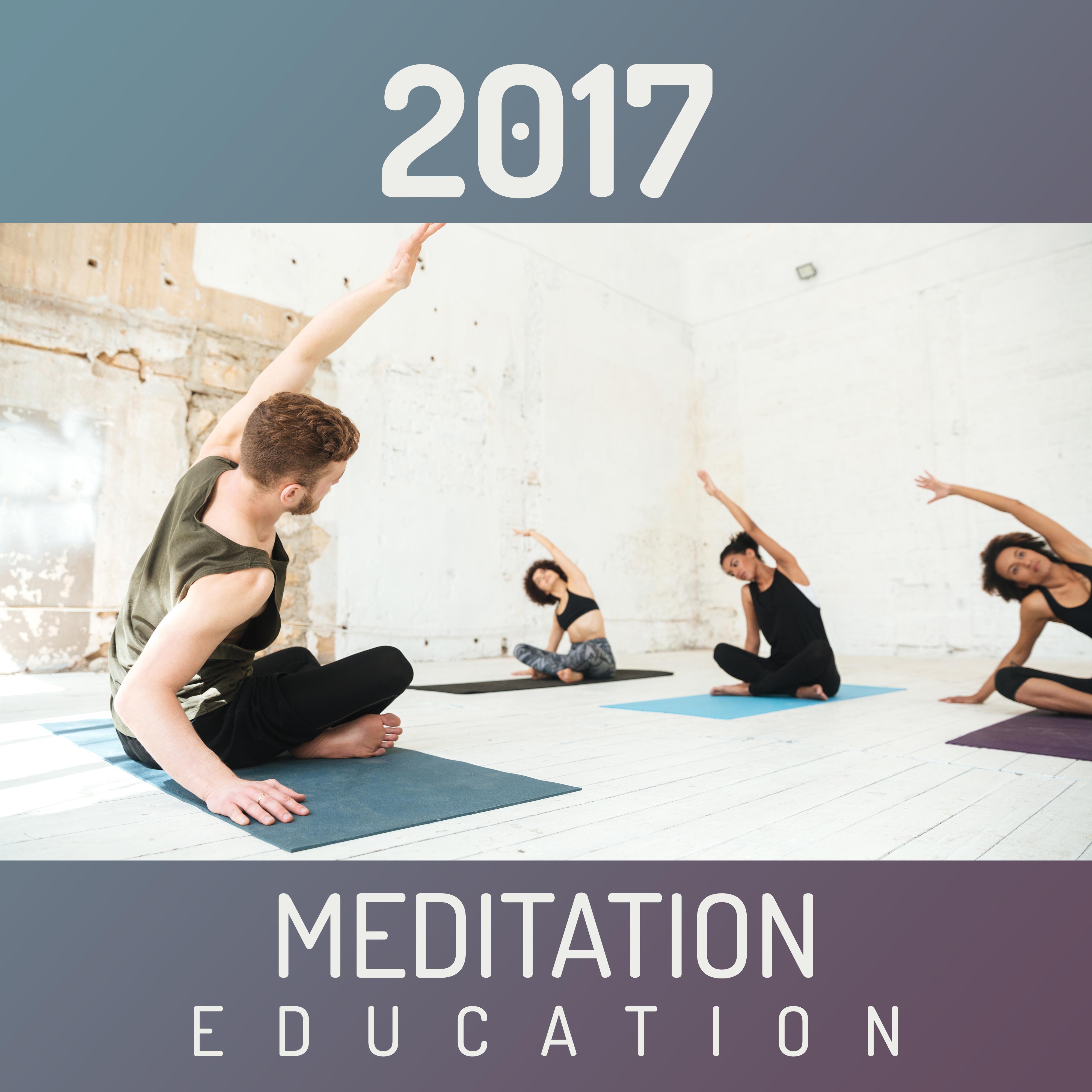 2017 Meditation Education