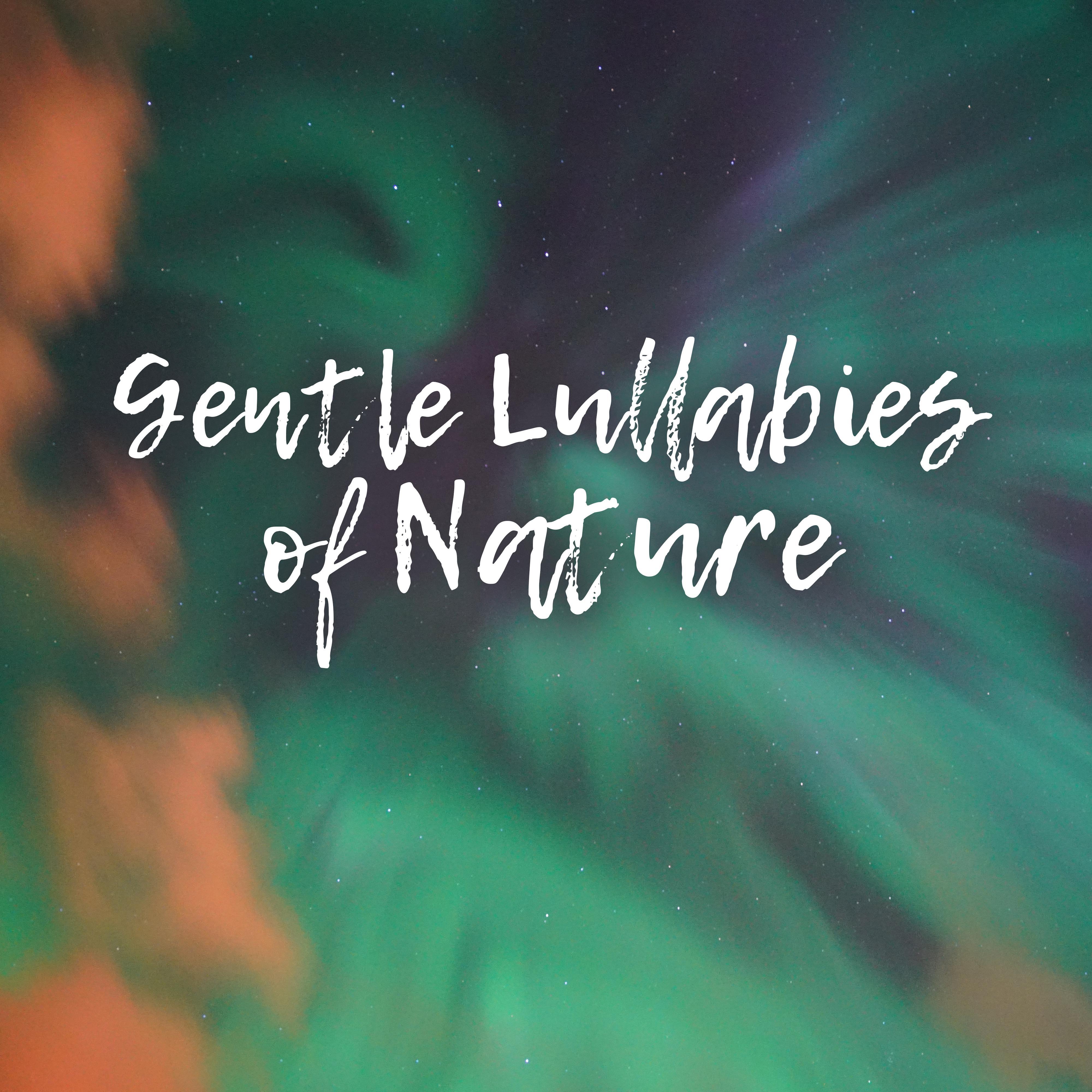 Gentle Lullabies of Nature