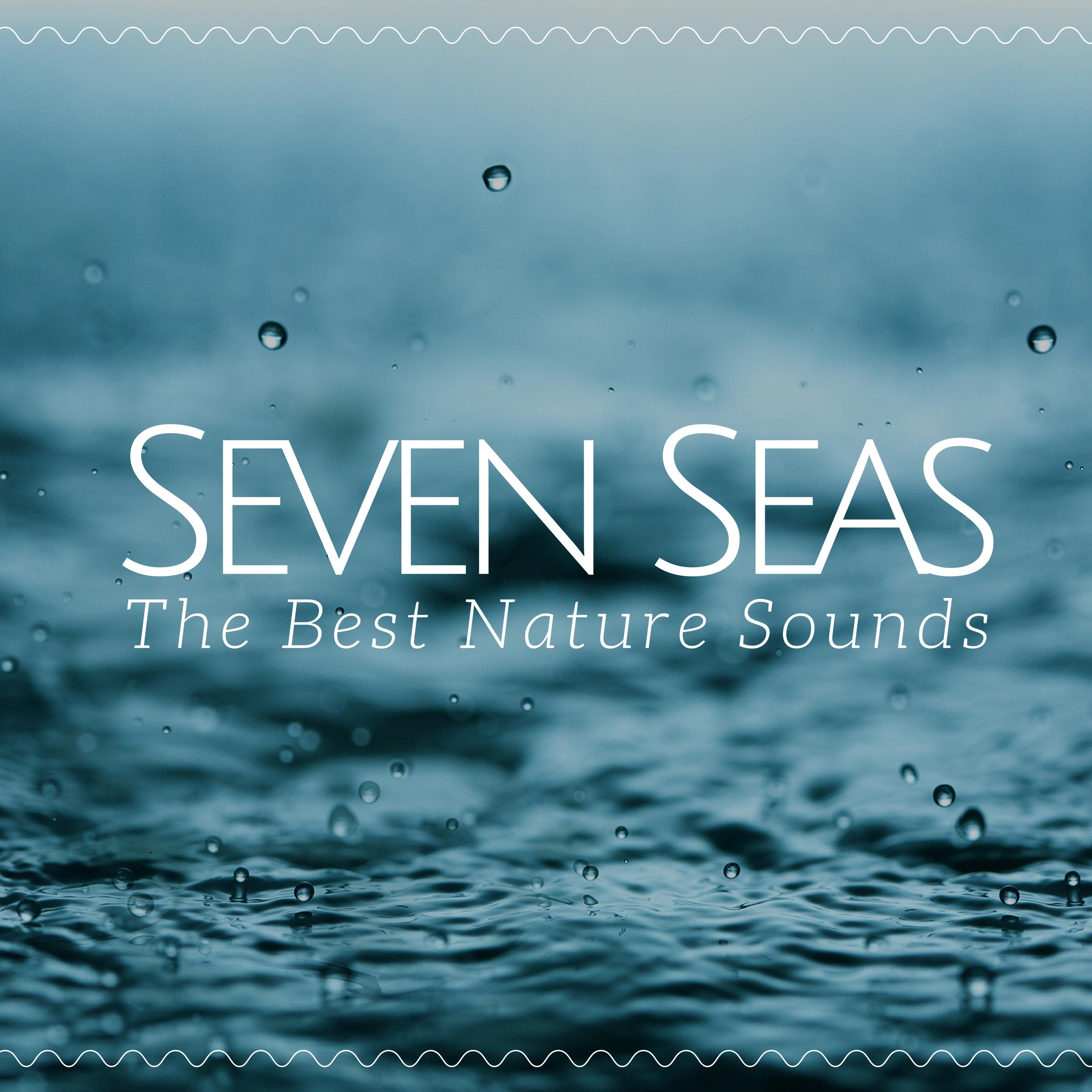 Seven Seas: The Best Nature Sounds for Liquid Relaxation, Meditation, Yoga, Soothe Your Stress, Self Hypnosis, Seaside Meditation