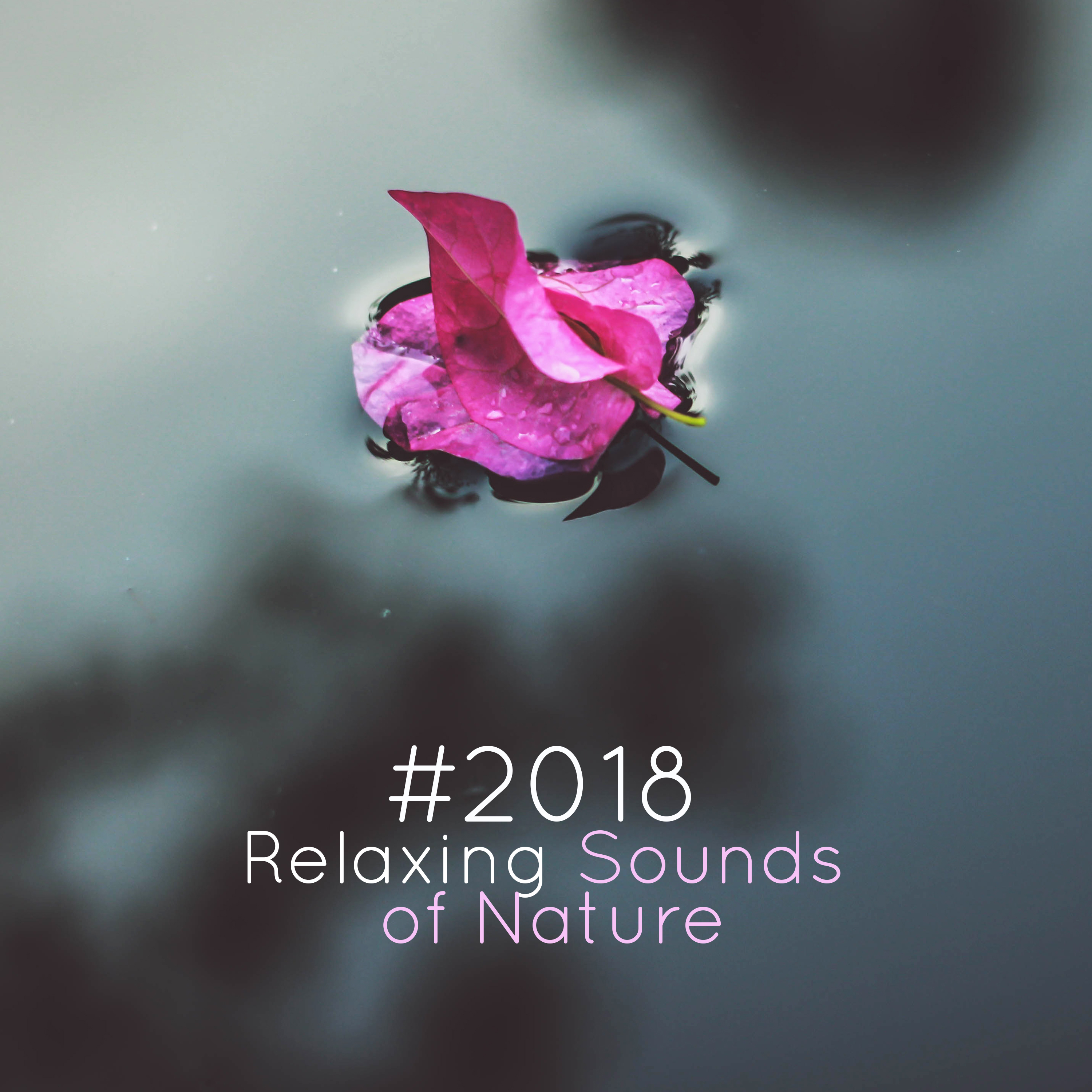 # 2018 Relaxing Sounds of Nature