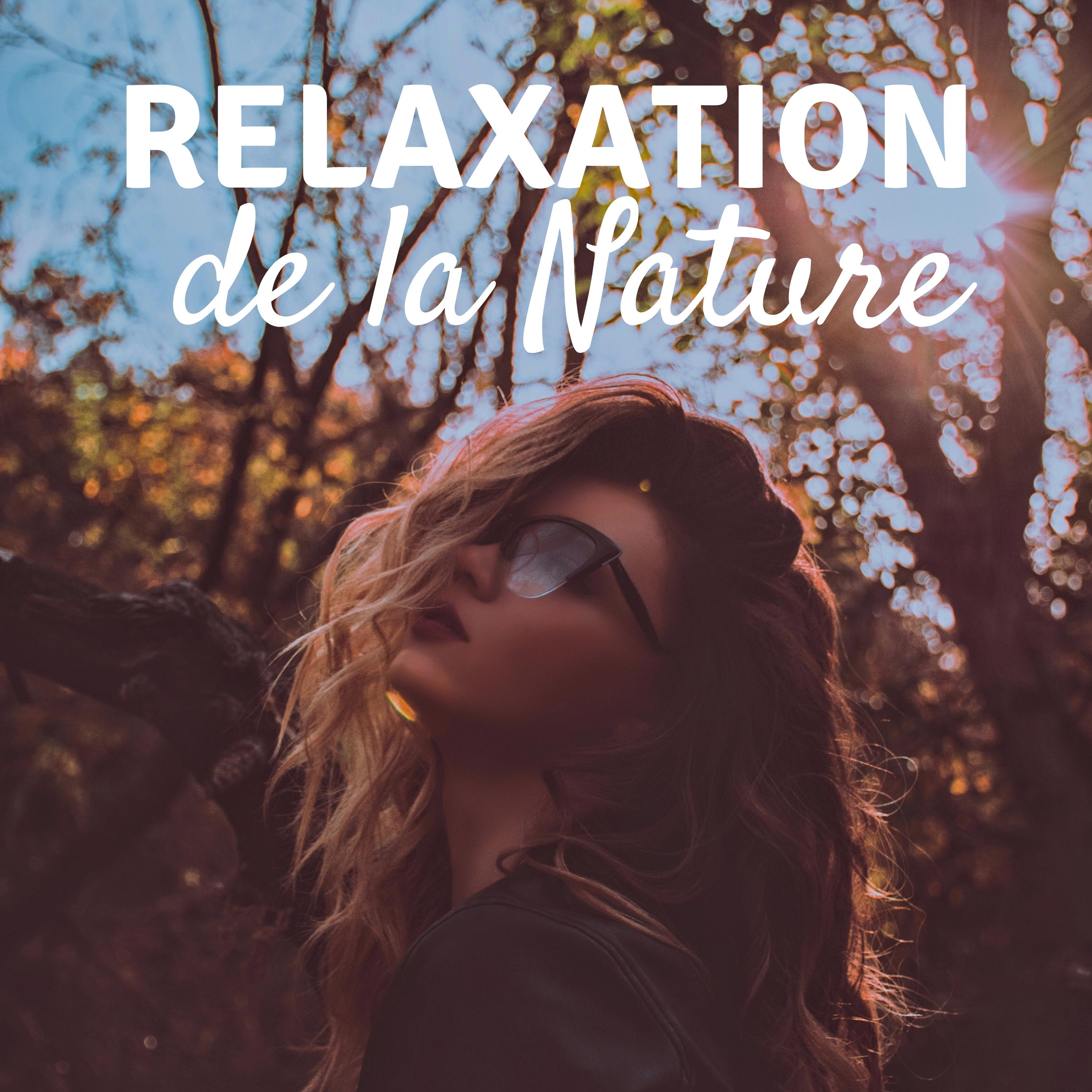 Relaxation de la nature