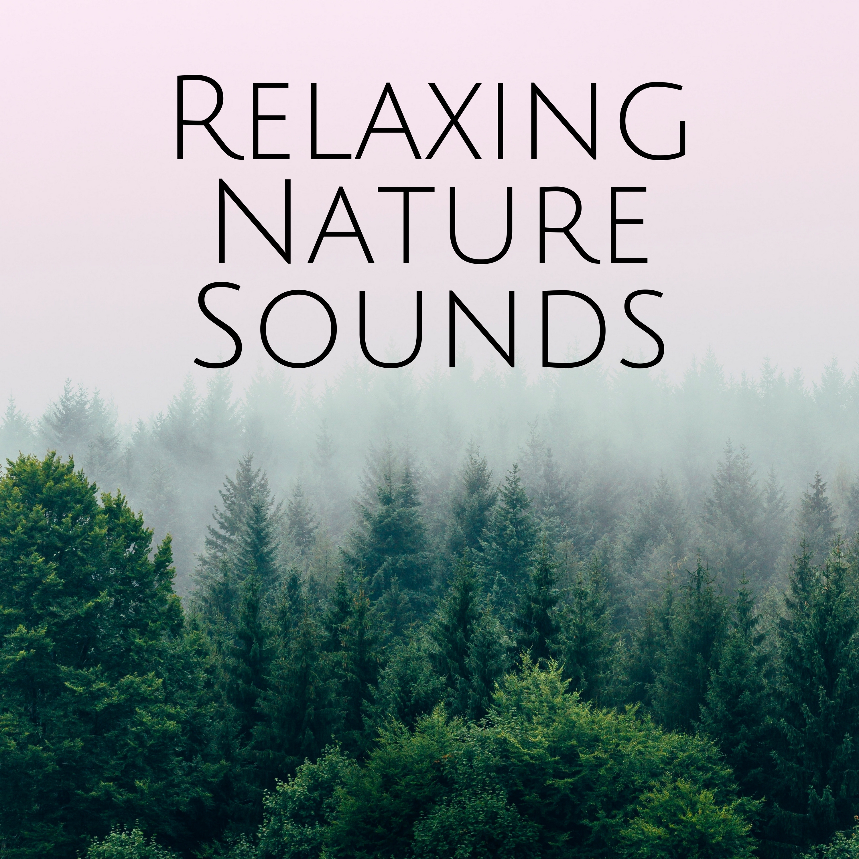 Relaxing Nature Sounds: Relaxation Study Time, Help to Sleep, Power to Calm Down