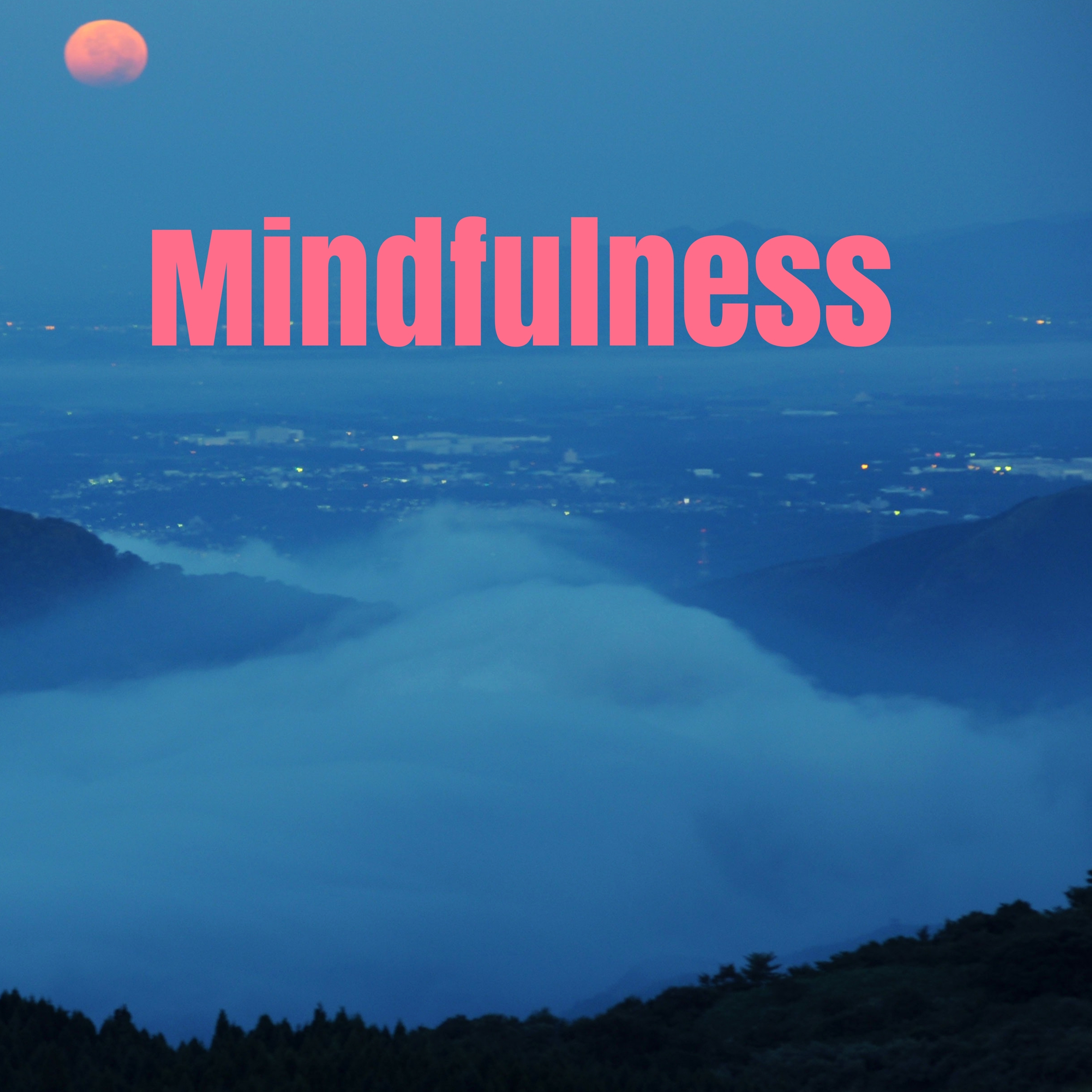 Mindfulness