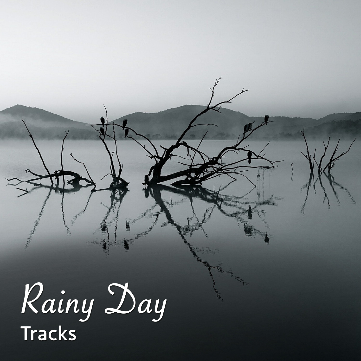 19 Rainy Day Tracks, Springtime Rain Sounds