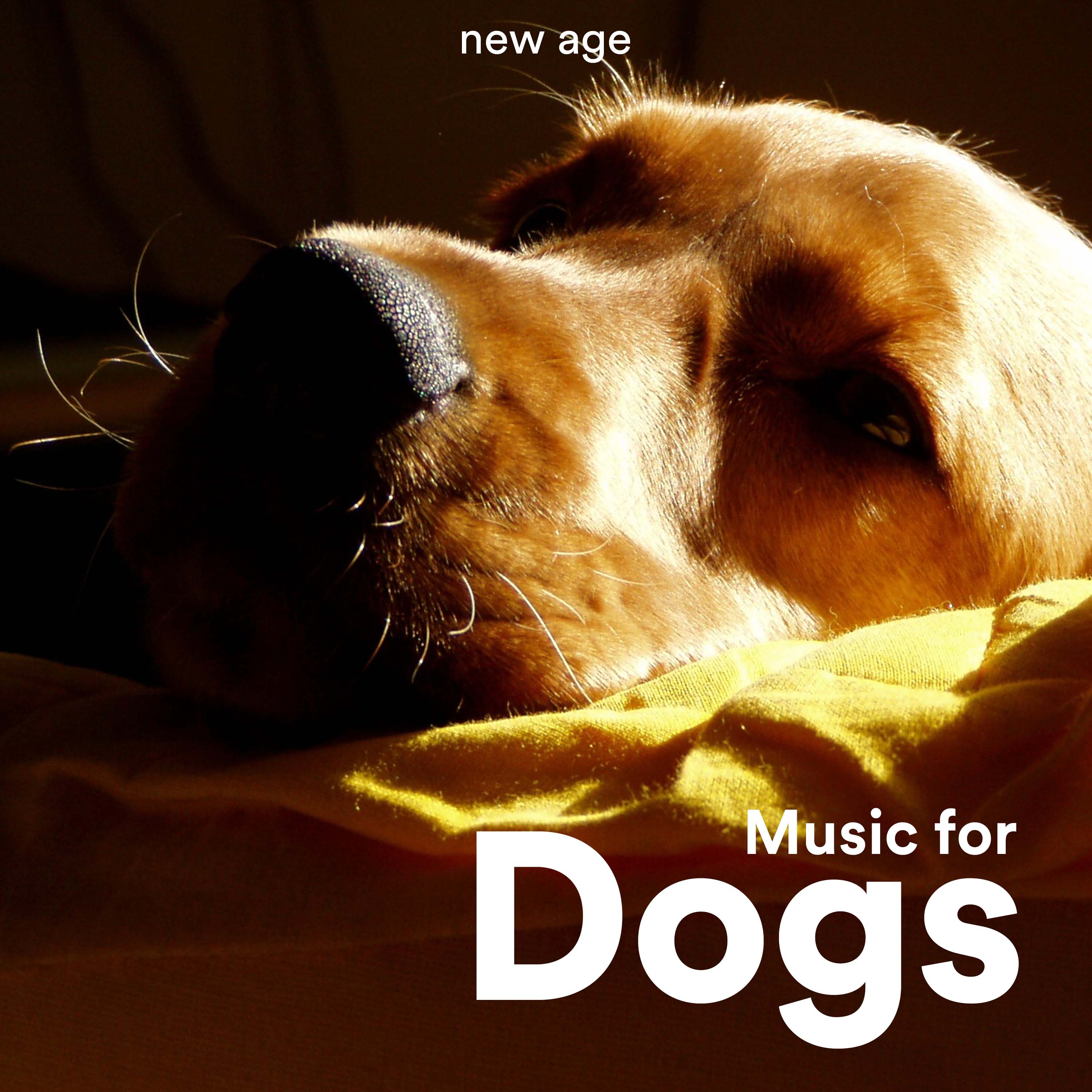 Music for Dogs: Relaxing Music for Dogs