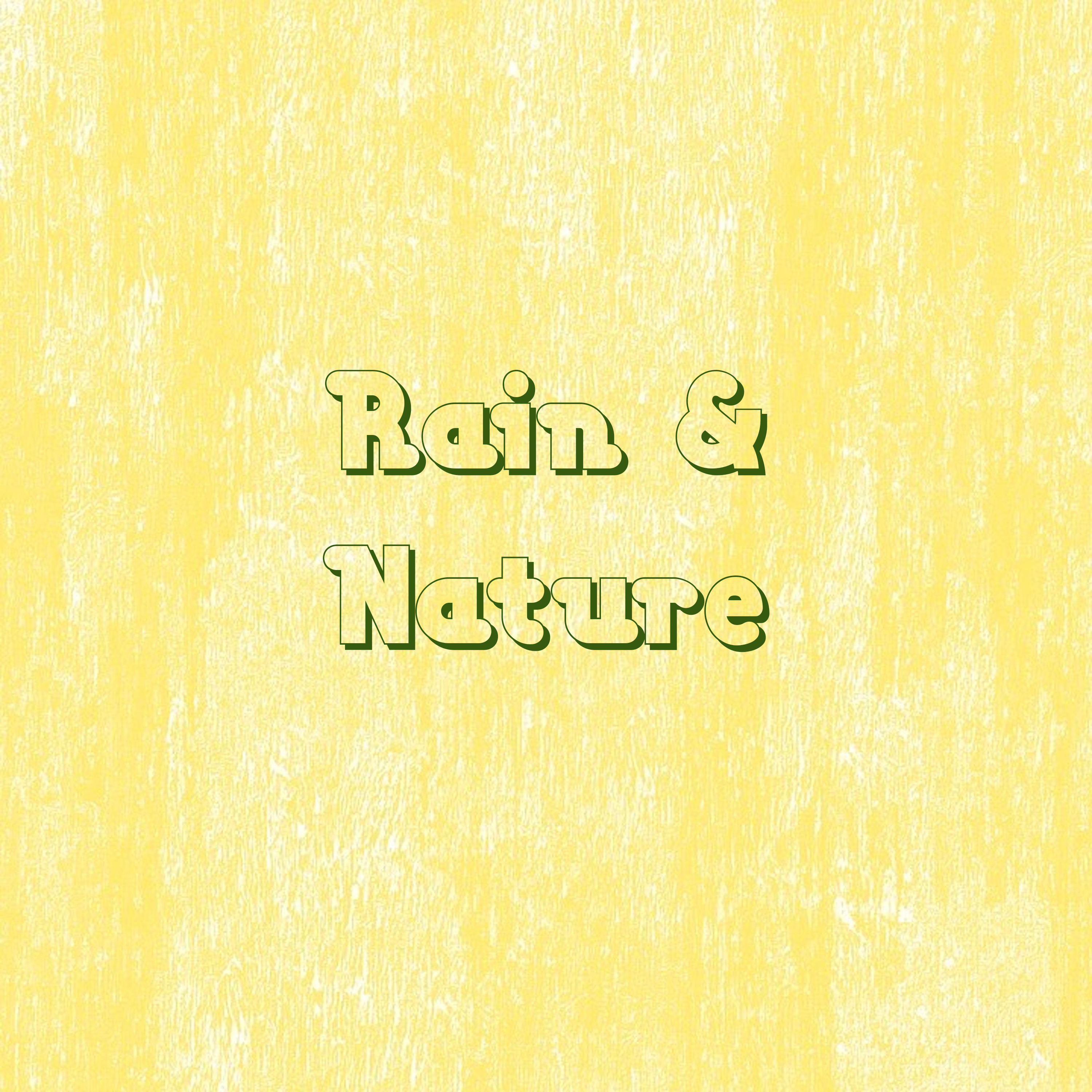 12 Rain and Nature Sounds of Calming and Meditative Falling Rain