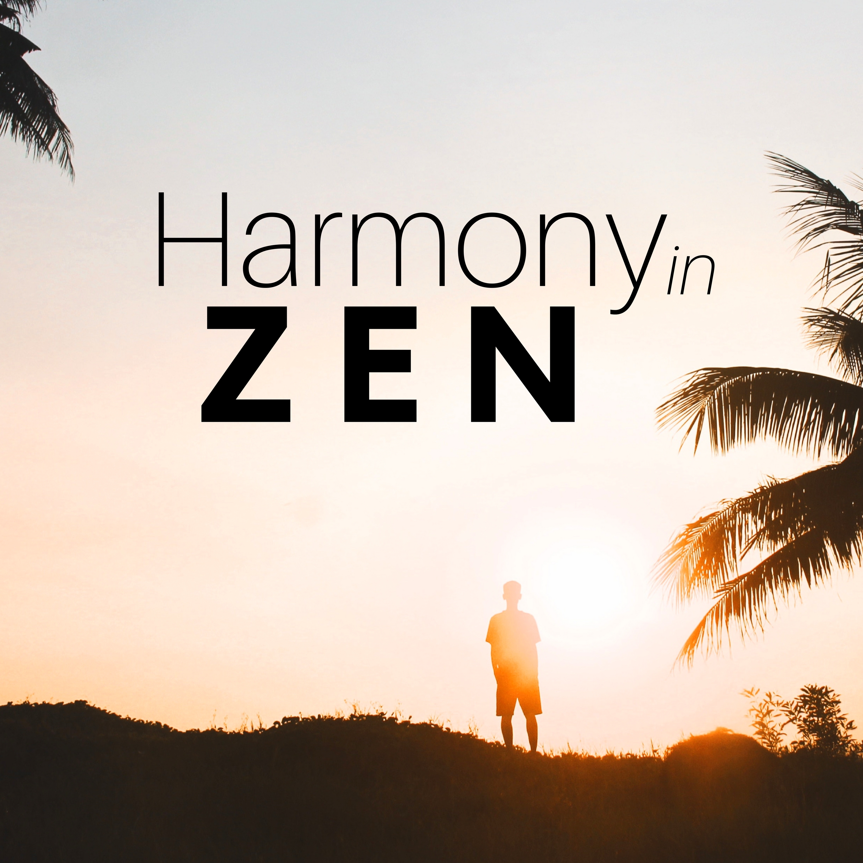 Harmony in Zen