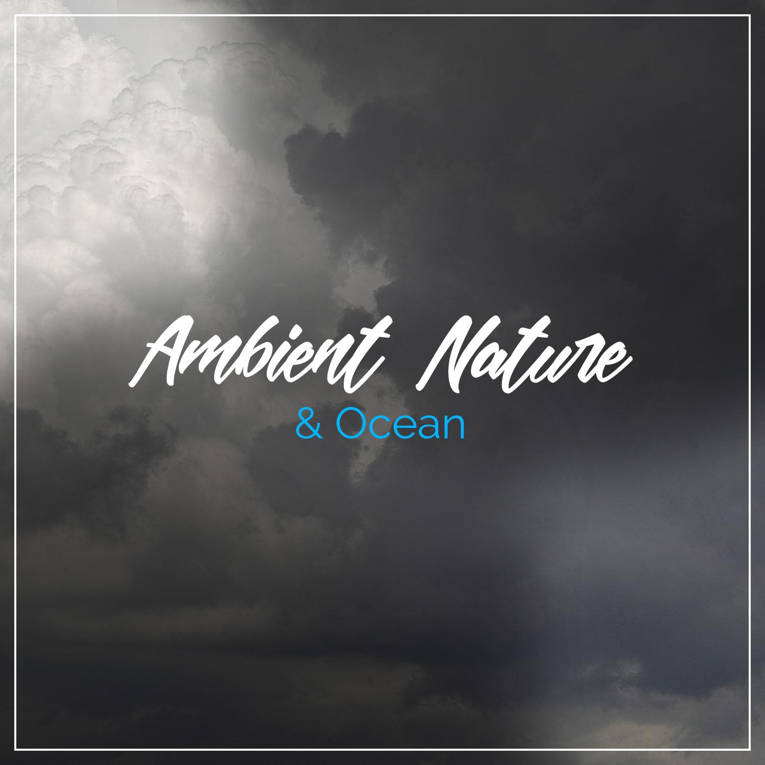 18 Ambient Nature and Ocean Sounds - Rain and Waves Crashing Deep Thunder Rumbles