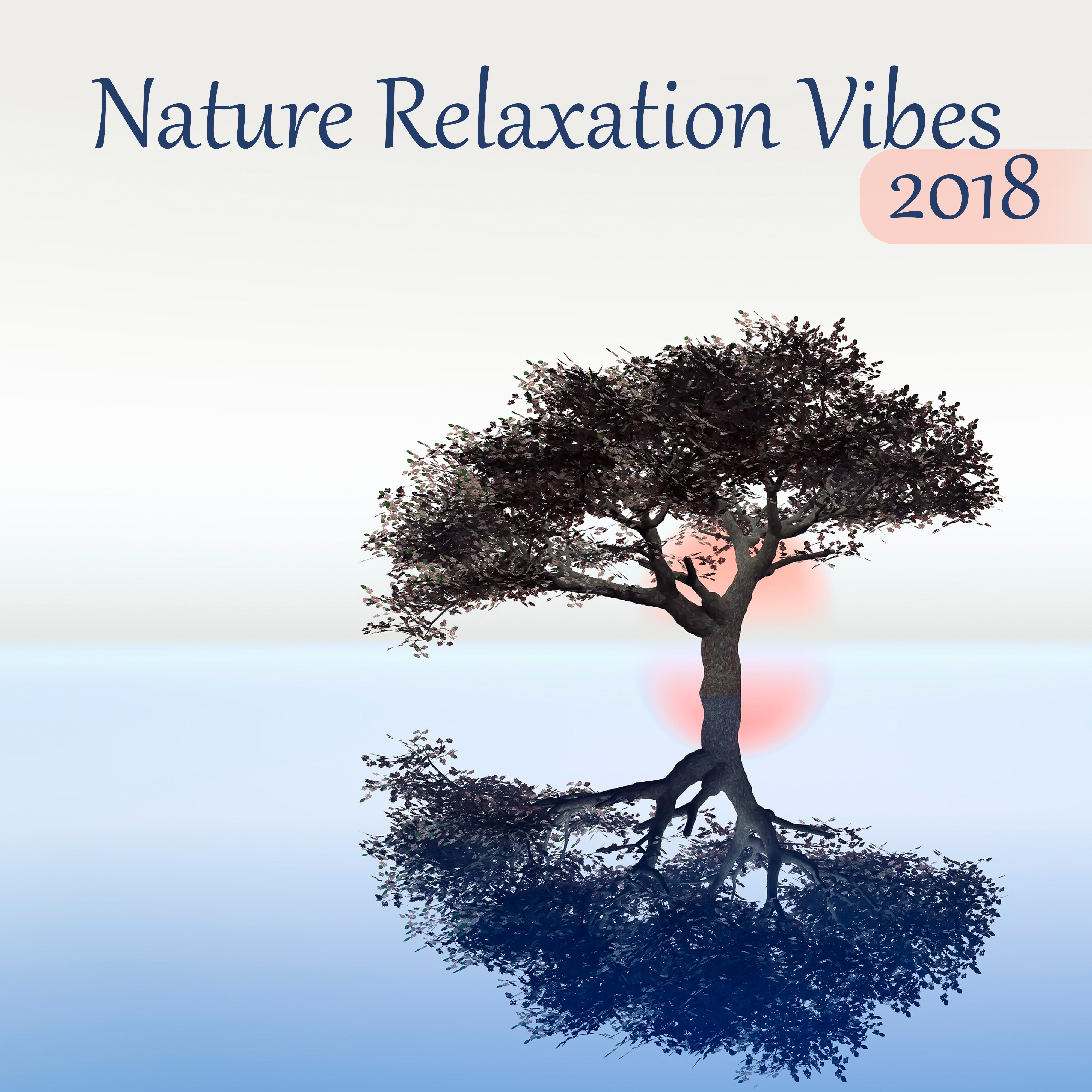Nature Relaxation Vibes 2018