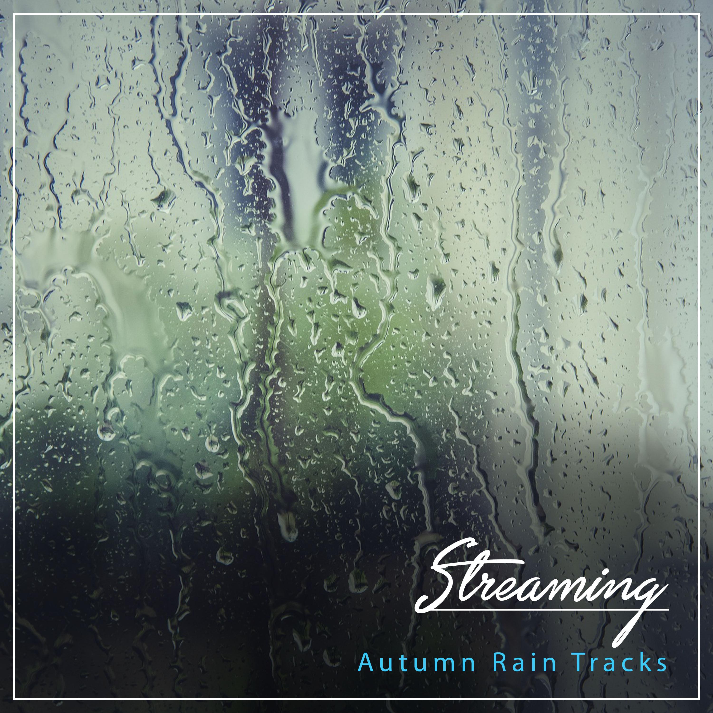 #10 Streaming Autumn Rain Tracks