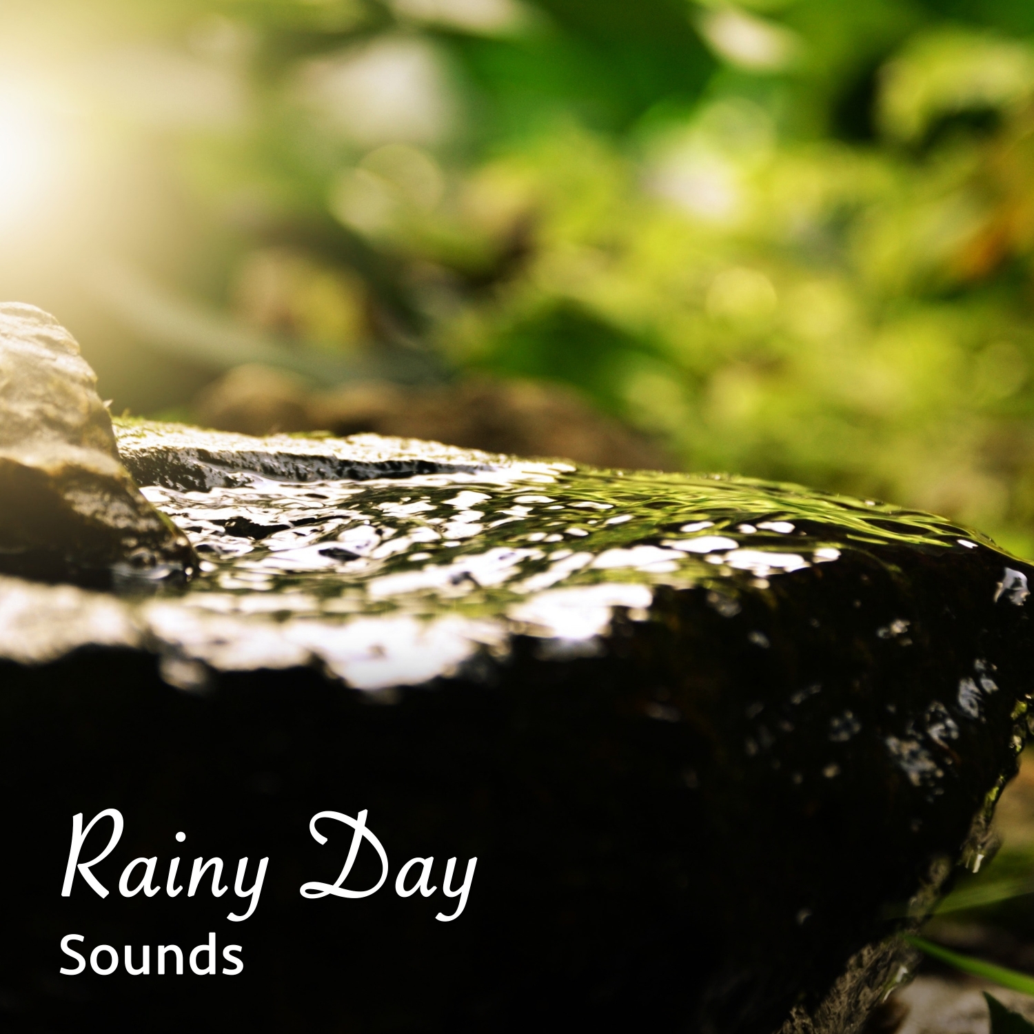 19 Rainy Day Sounds to Block out Noise and Sleep Peacefully