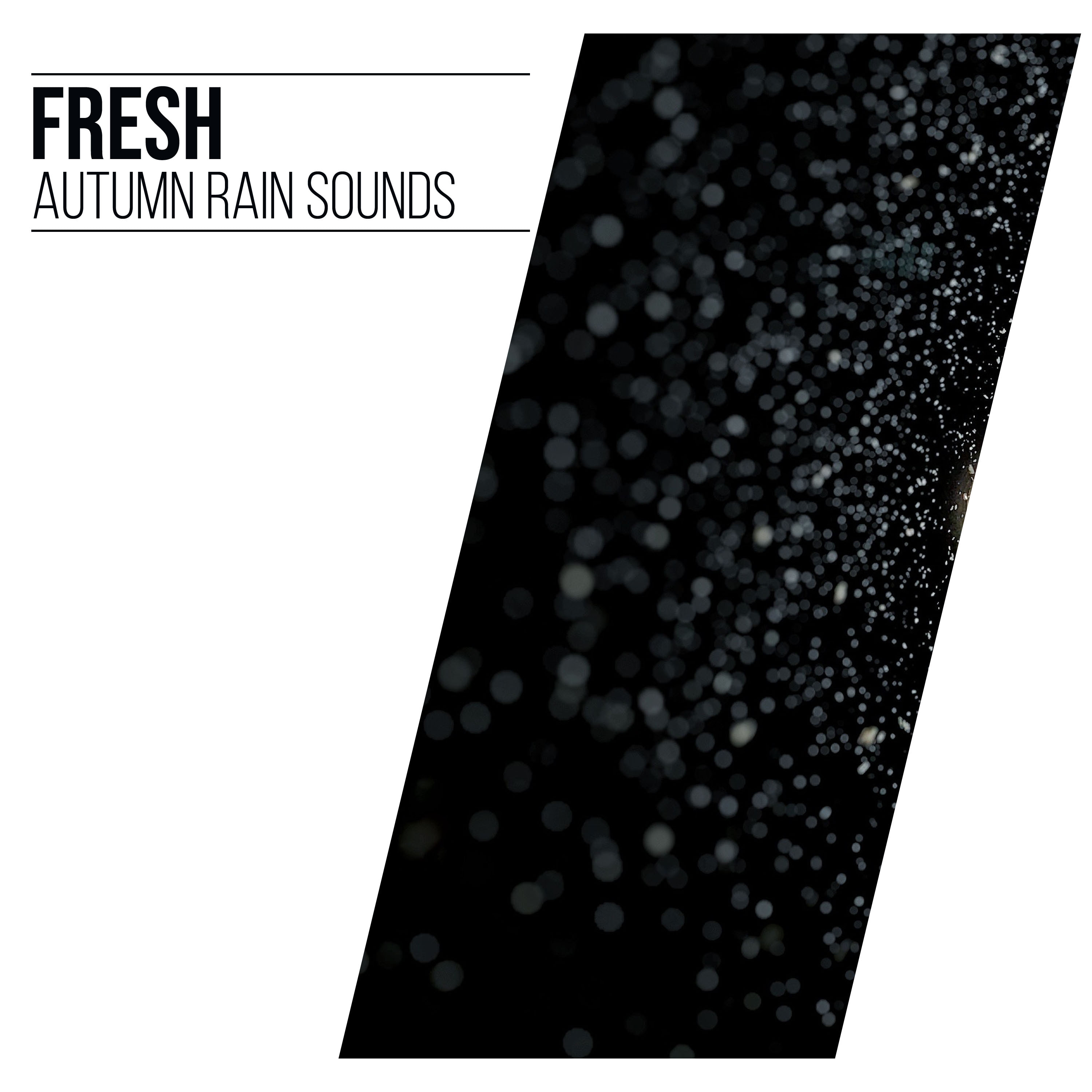 #18 Fresh Autumn Rain Sounds for Sleep