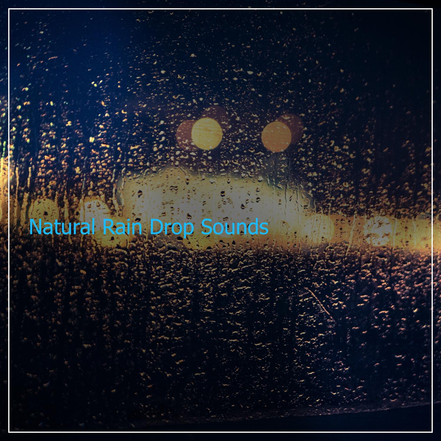 #1 Hour of Natural Rain Drop Sounds