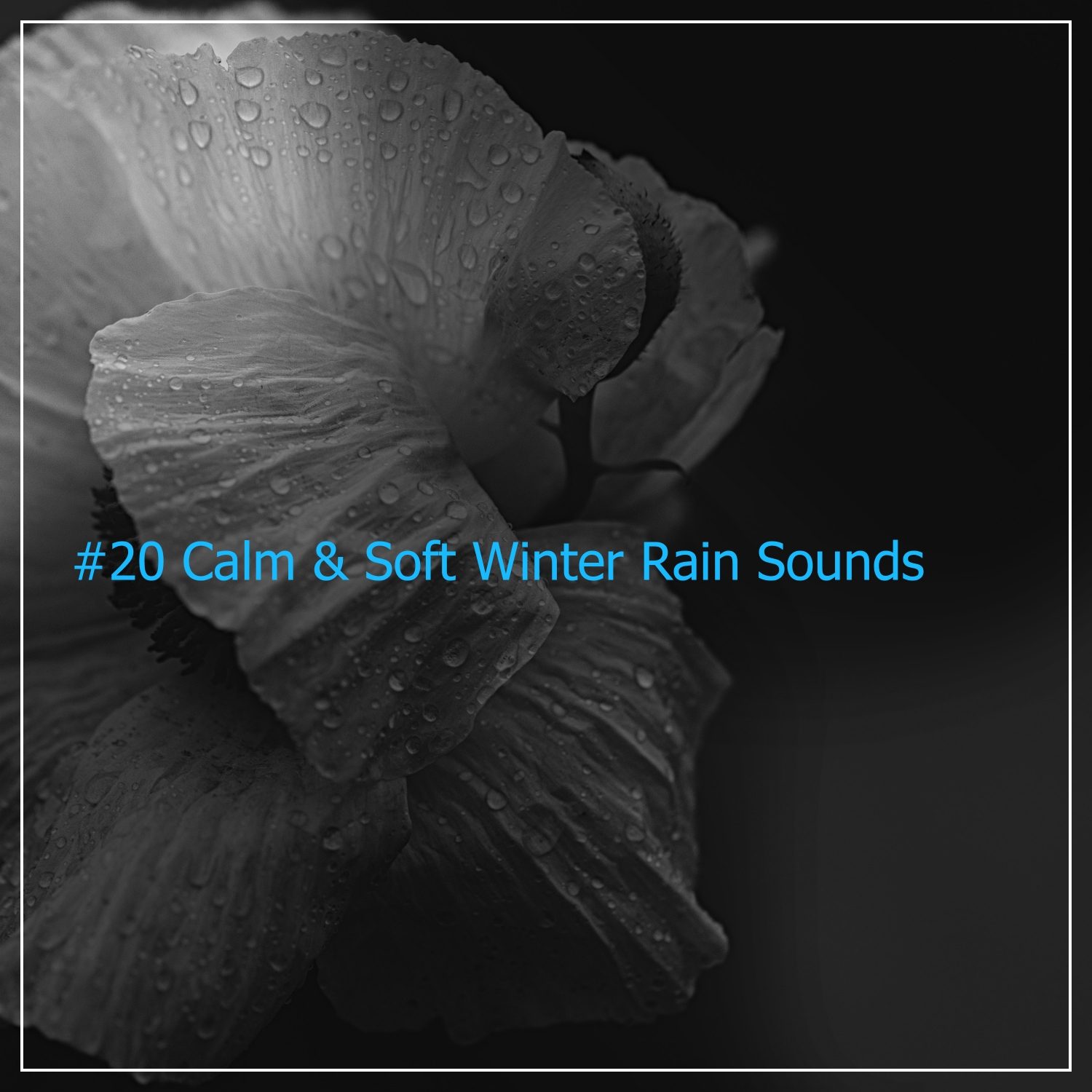 #20 Calm & Soft Winter Rain Sounds