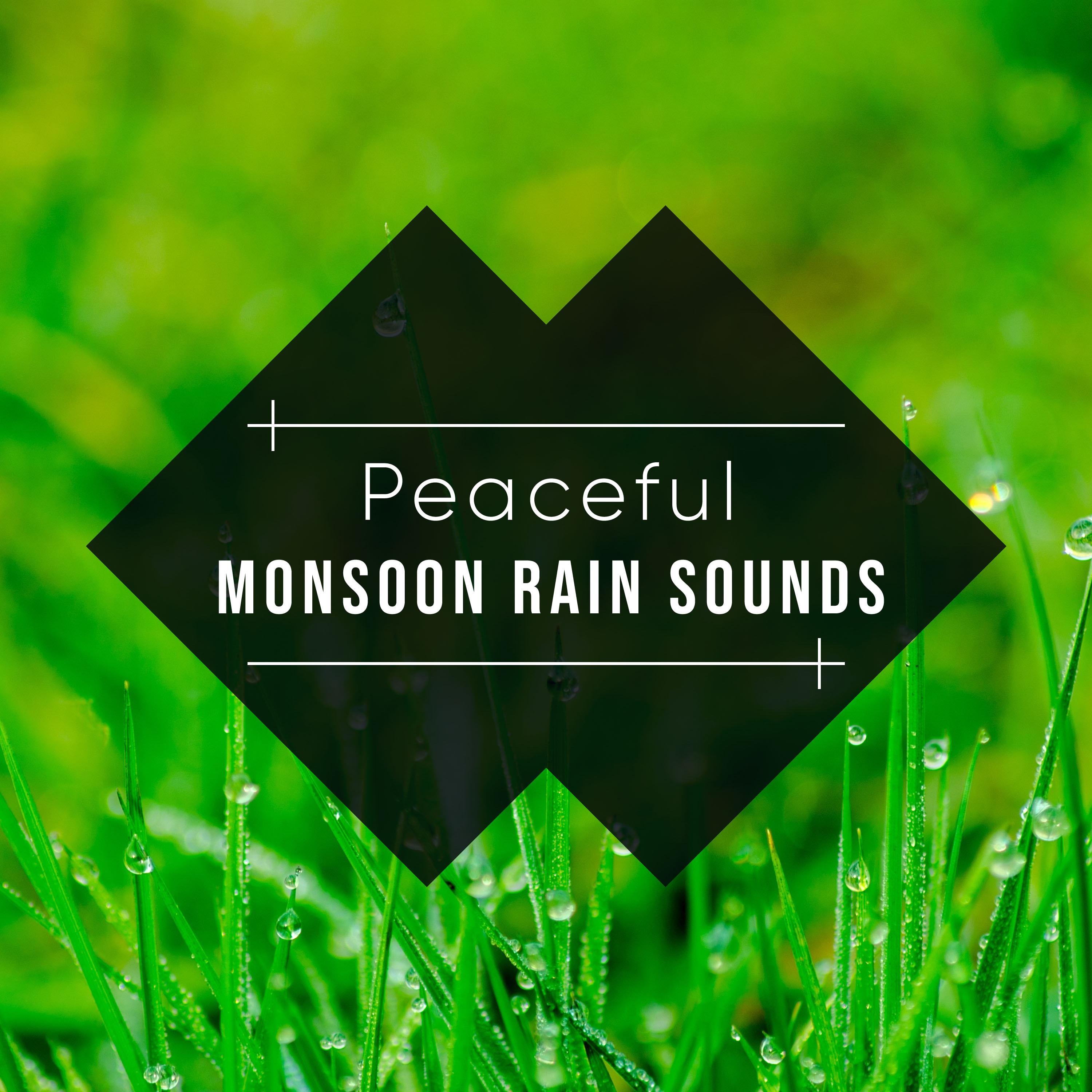 #18 Peaceful Monsoon Rain Sounds