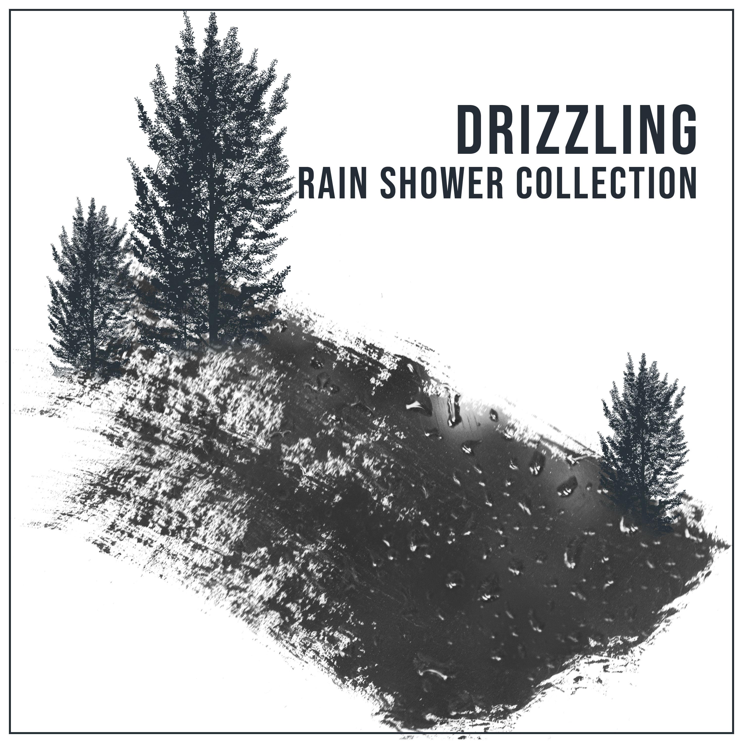 #12 Drizzling Rain Shower Collection