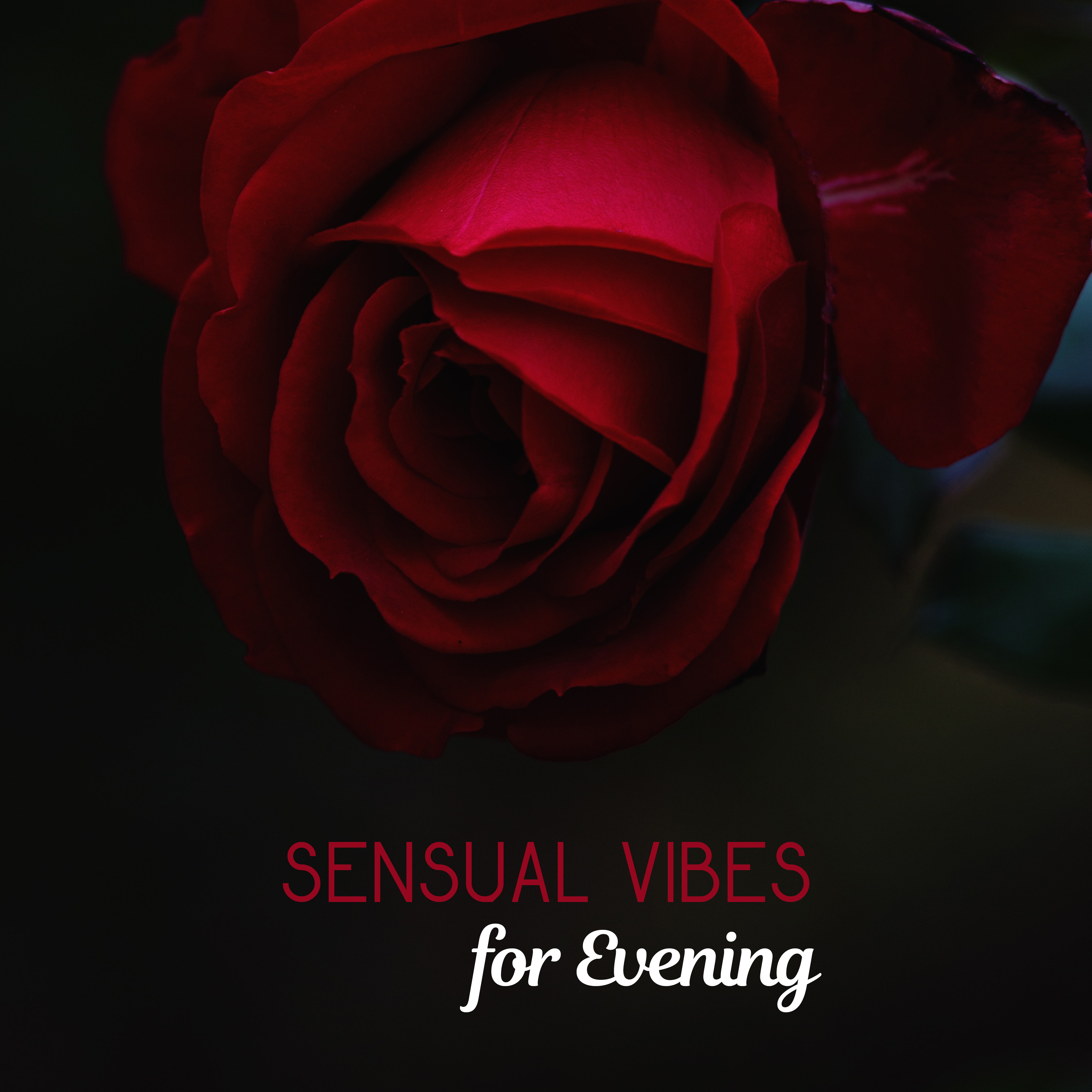 Sensual Vibes for Evening