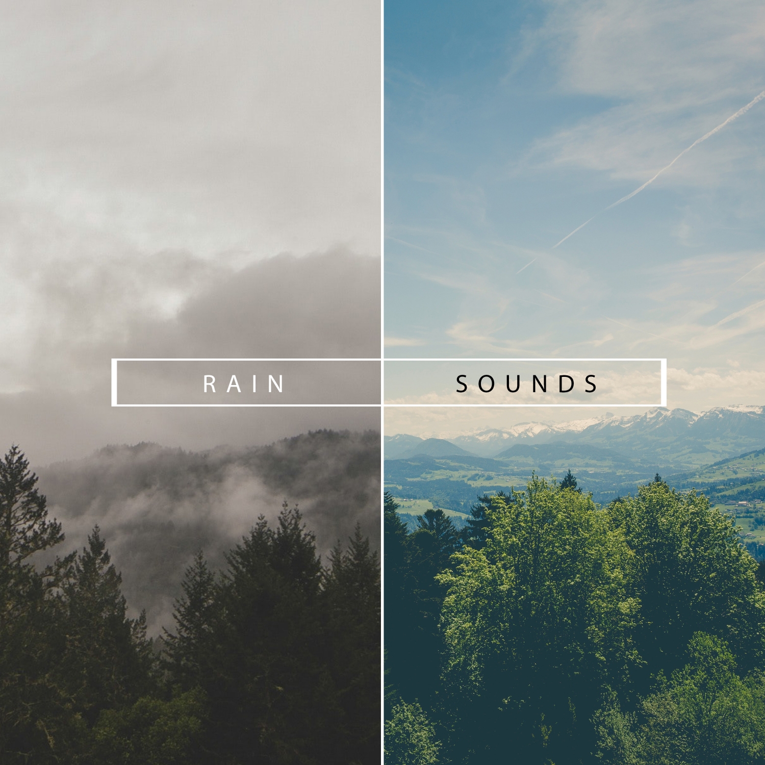 12 Zen Meditation White Noise Rain Sounds