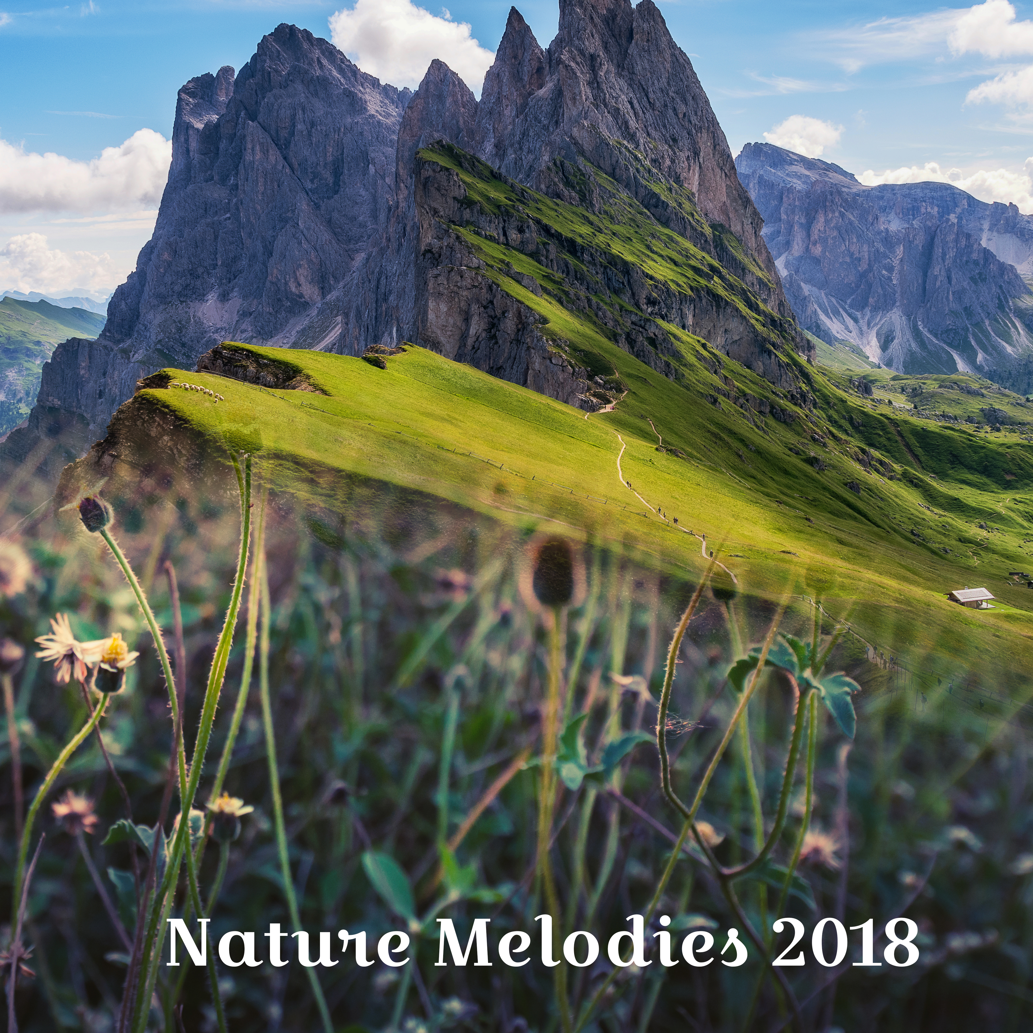 Nature Melodies 2018