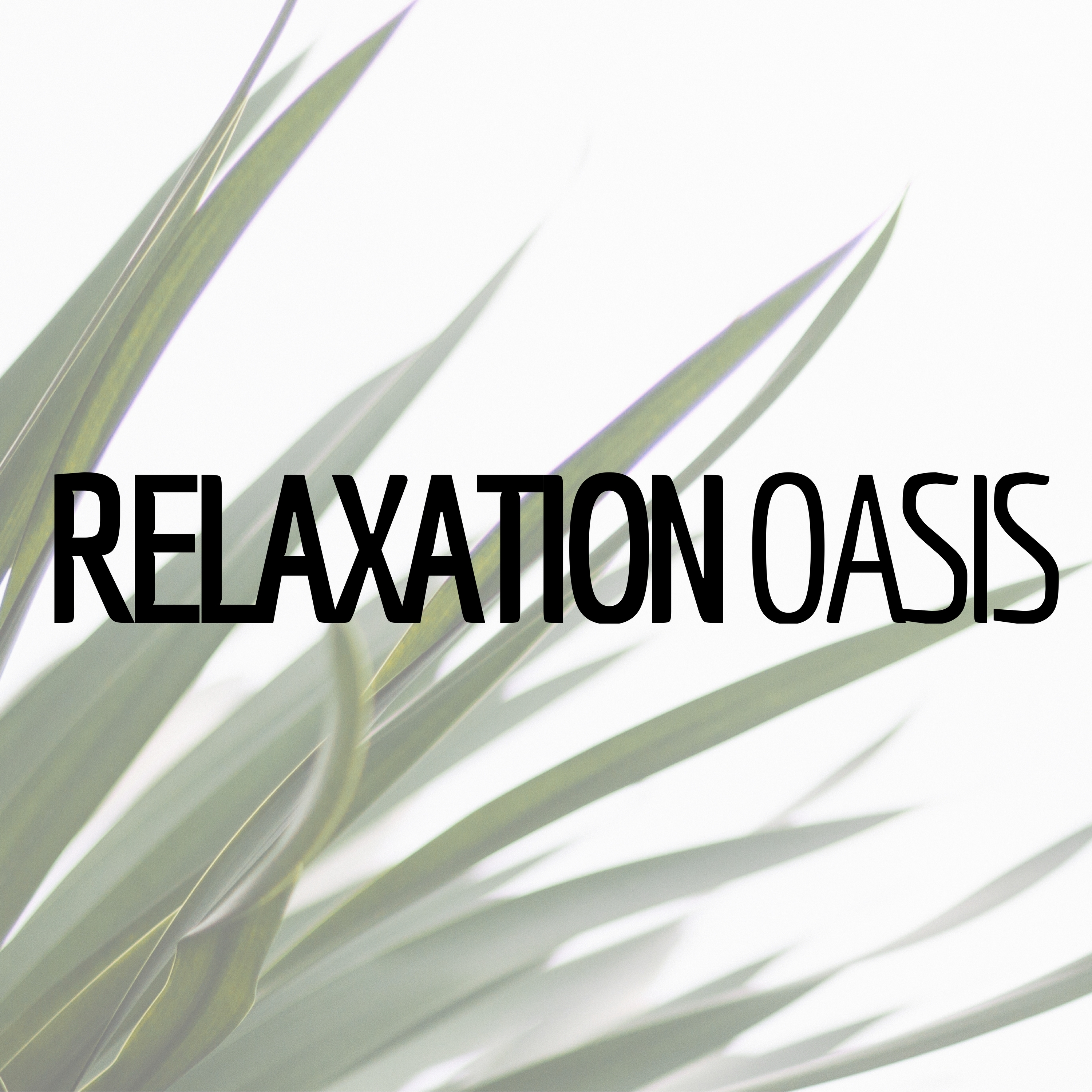 Relaxation Oasis - 24 Songs