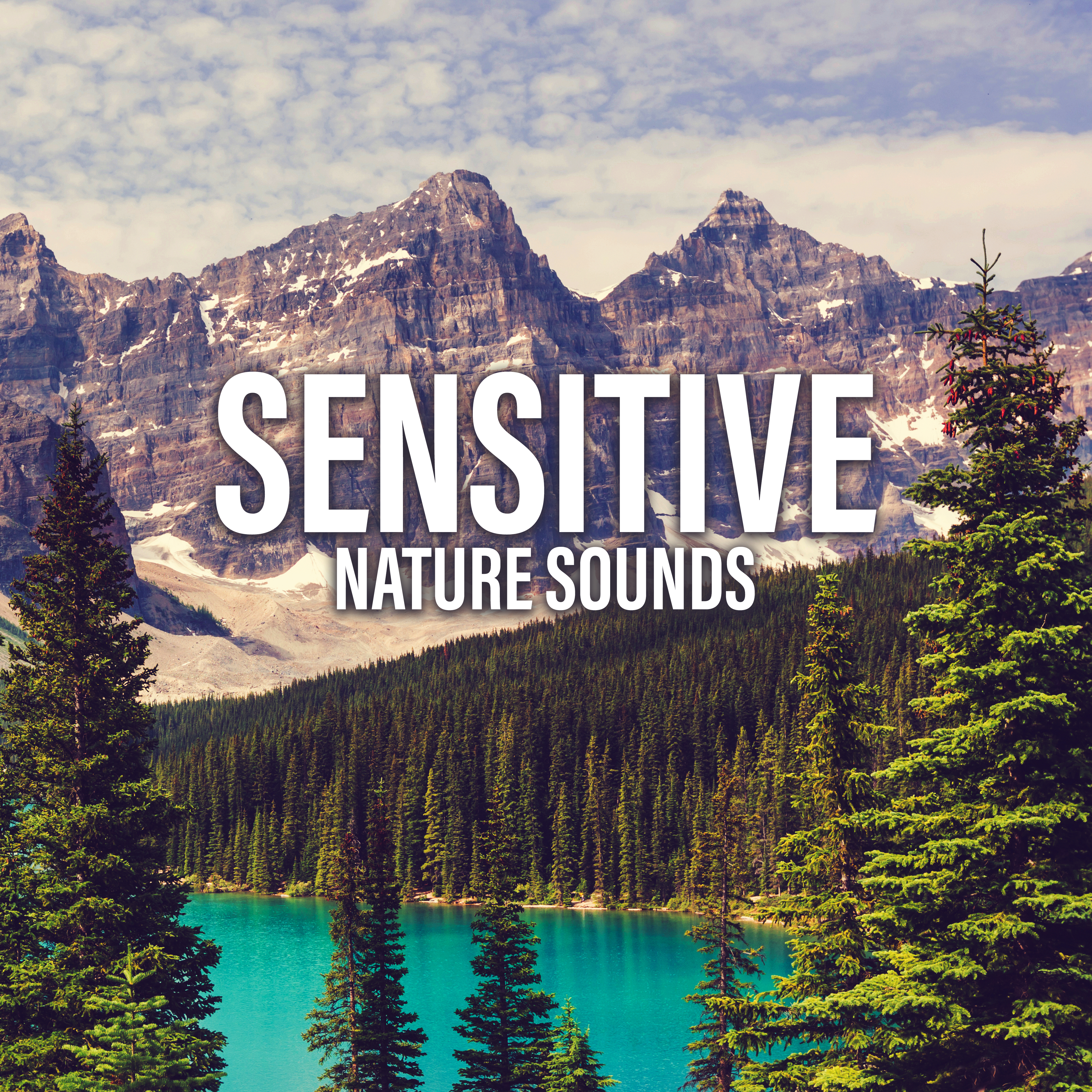 Sensitive Nature Sounds