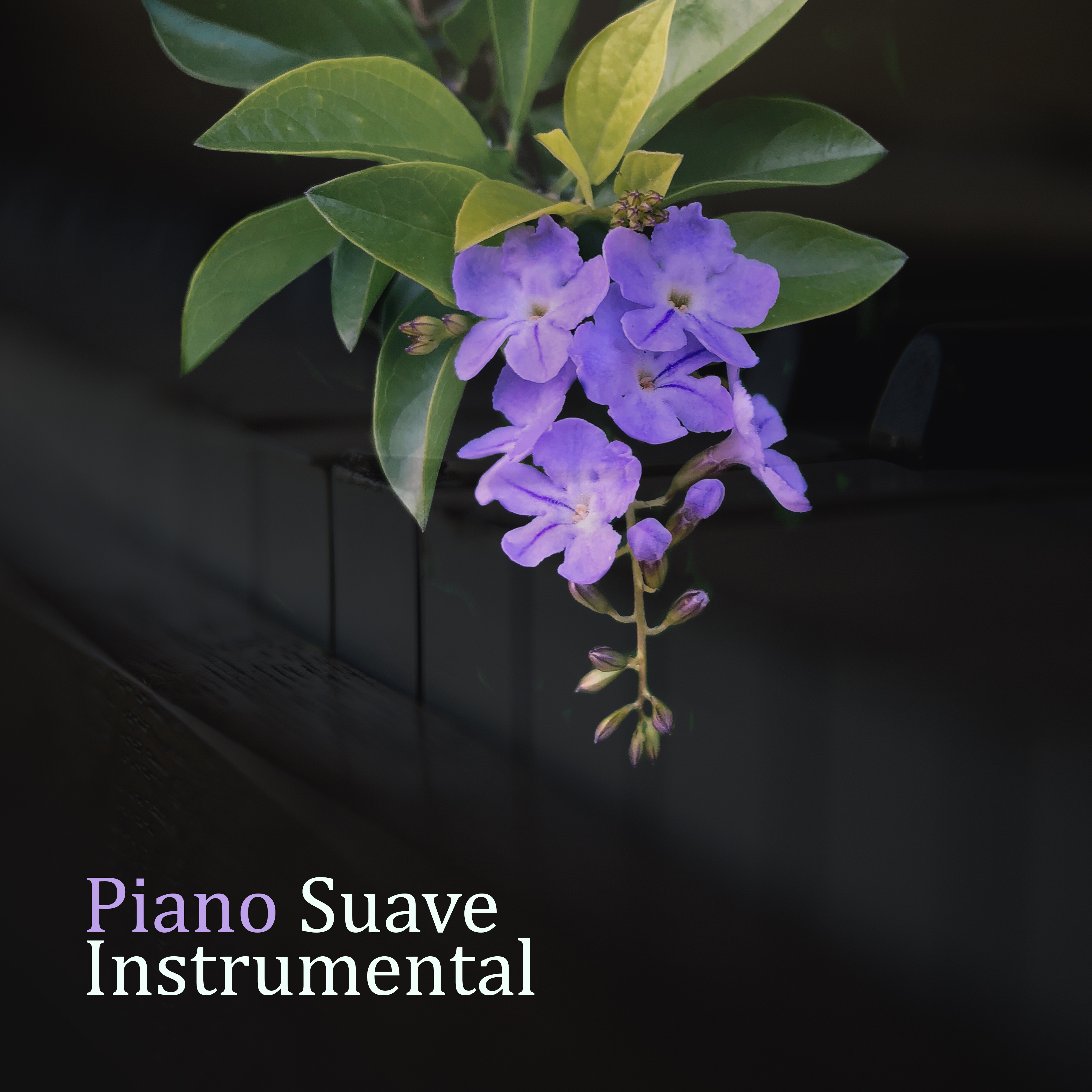 Piano Suave Instrumental
