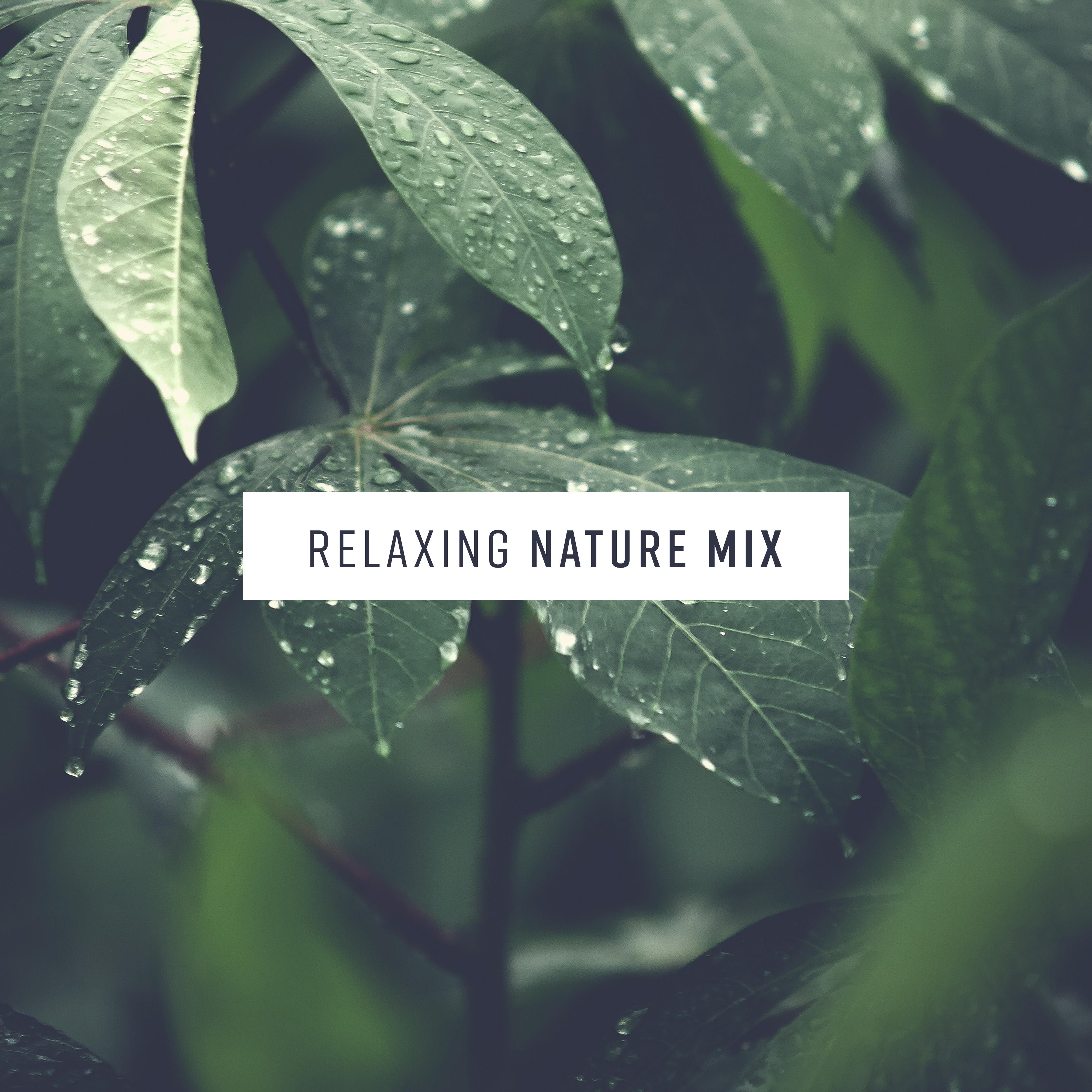 Relaxing Nature Mix