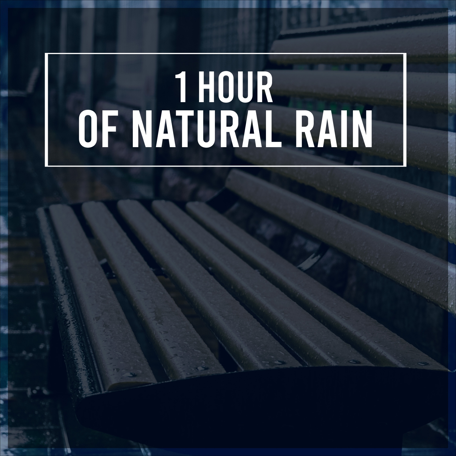 1 Hour Natural Rain Sounds to Unwind and Relax