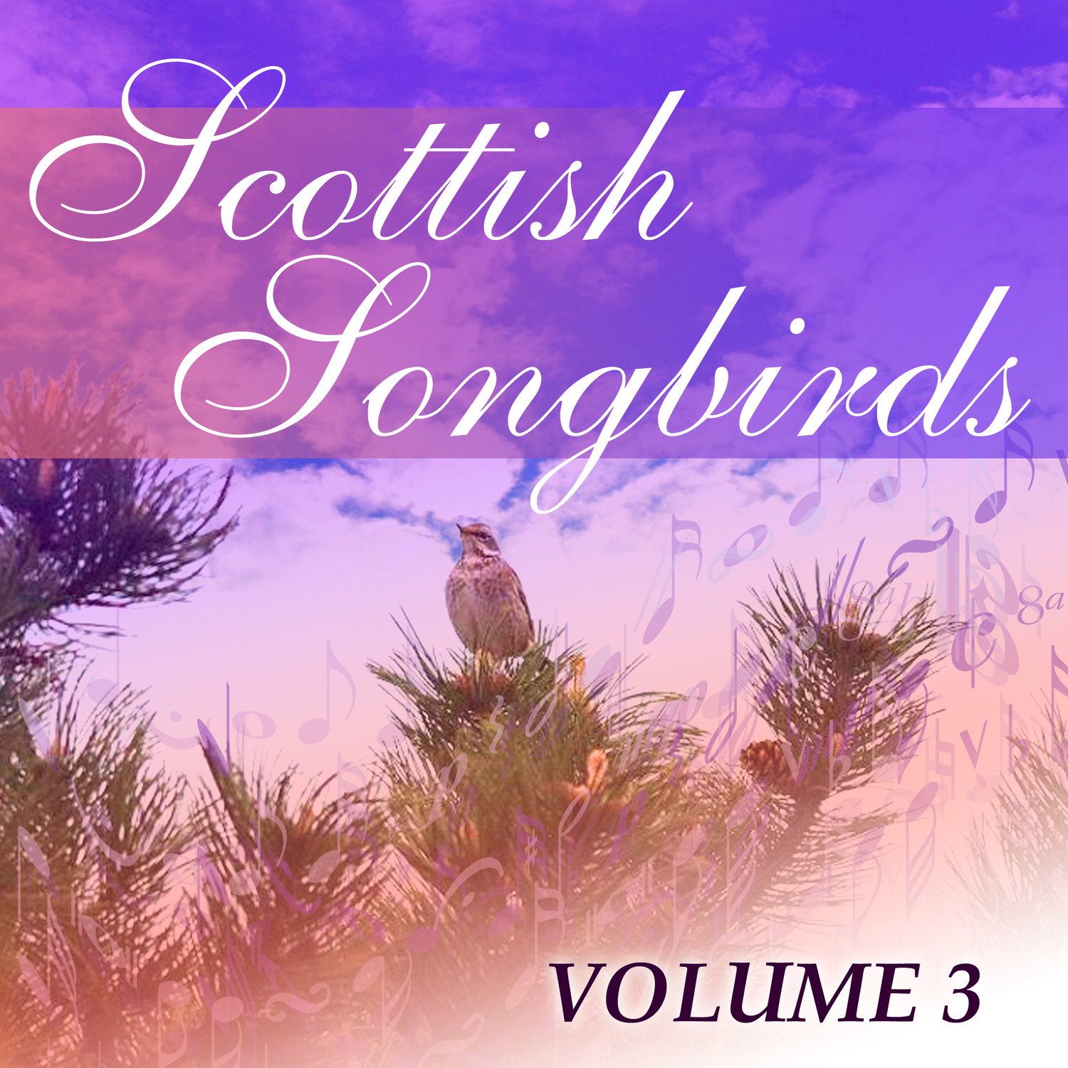 Scottish Songbirds, Vol. 3