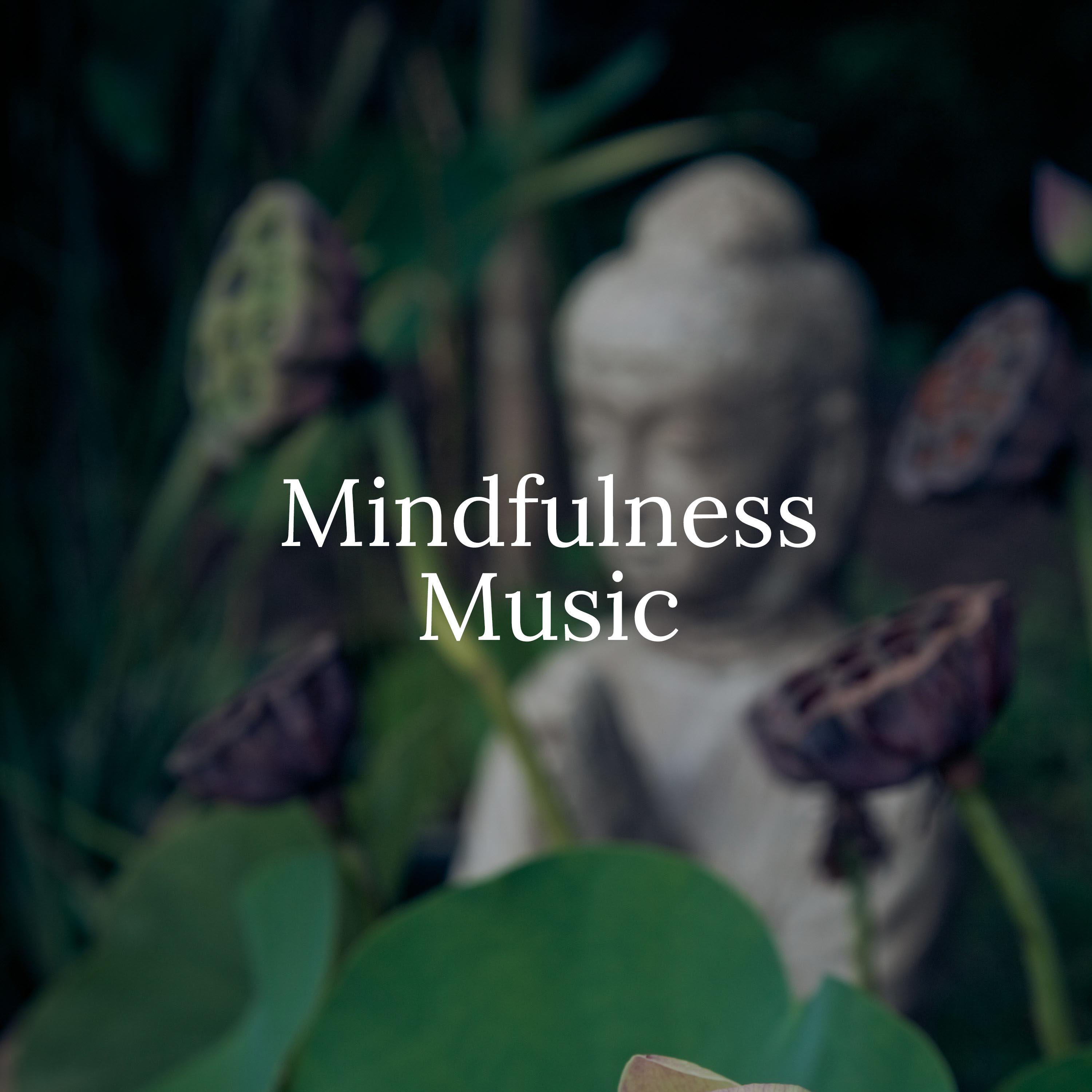 Mindfulness Music: Twin Heart Meditation, Sleep Meditation, Spa Meditation Music