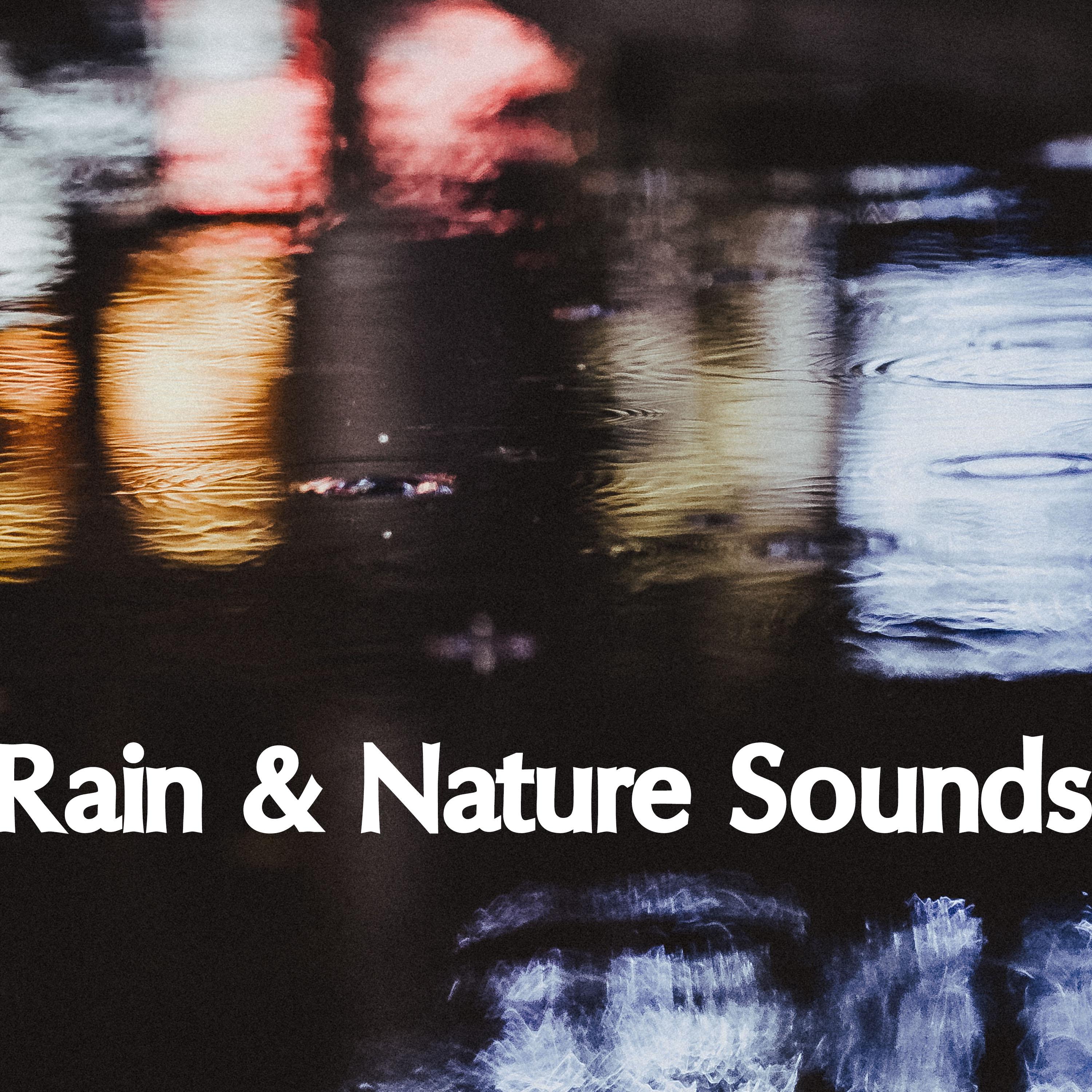 13 Rain and Nature Sounds to Help You Rest and Relax