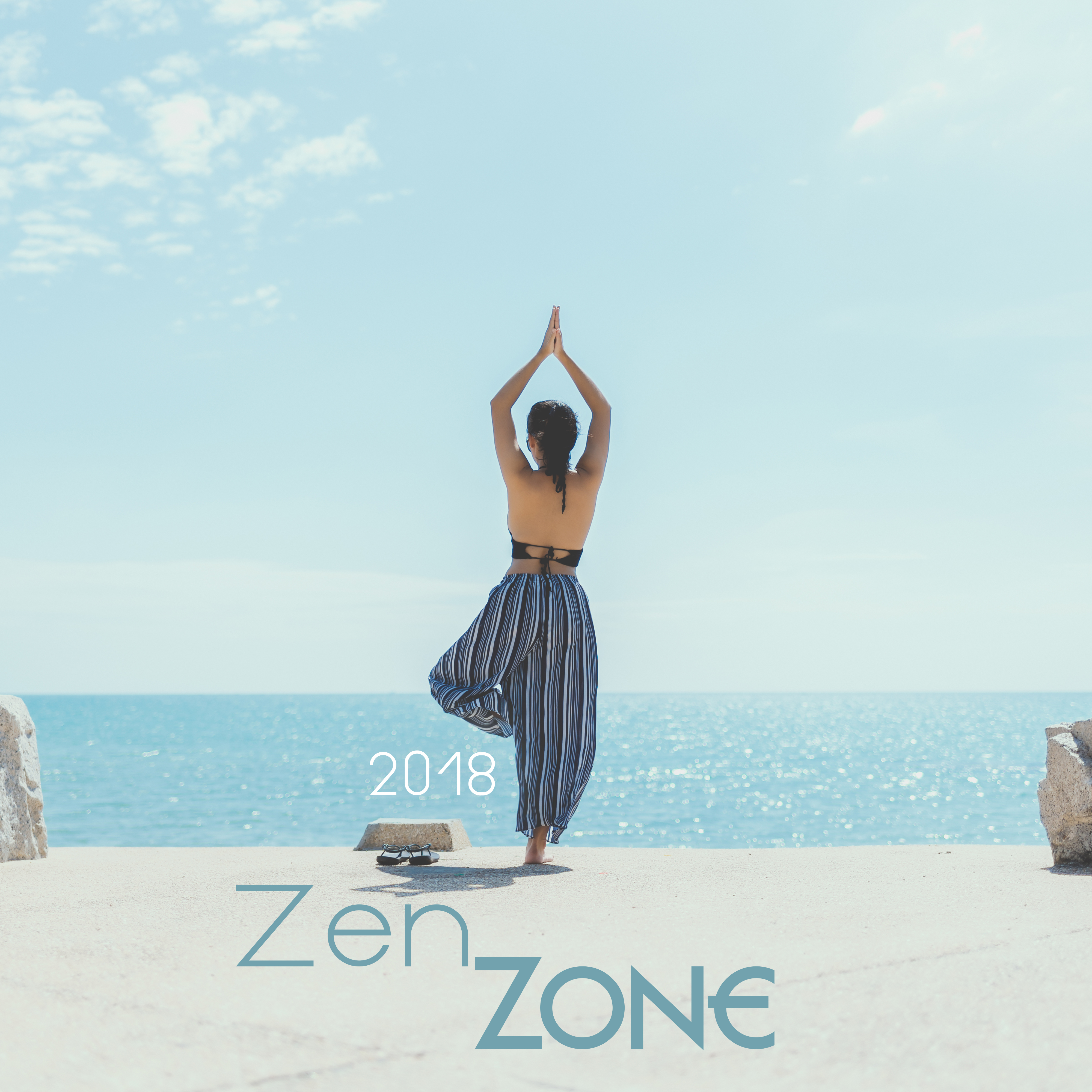 2018 Zen Zone