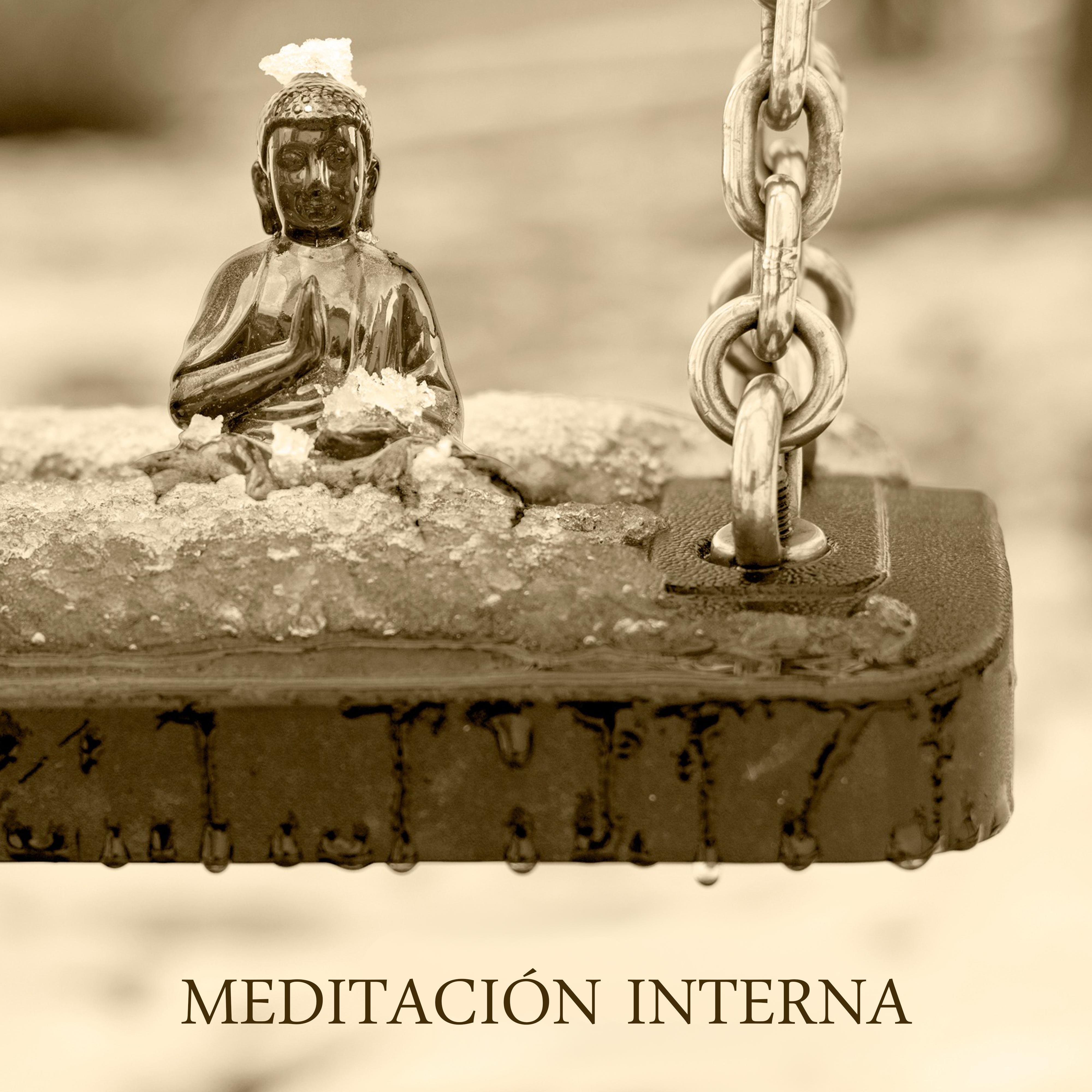 Meditacio n Interna