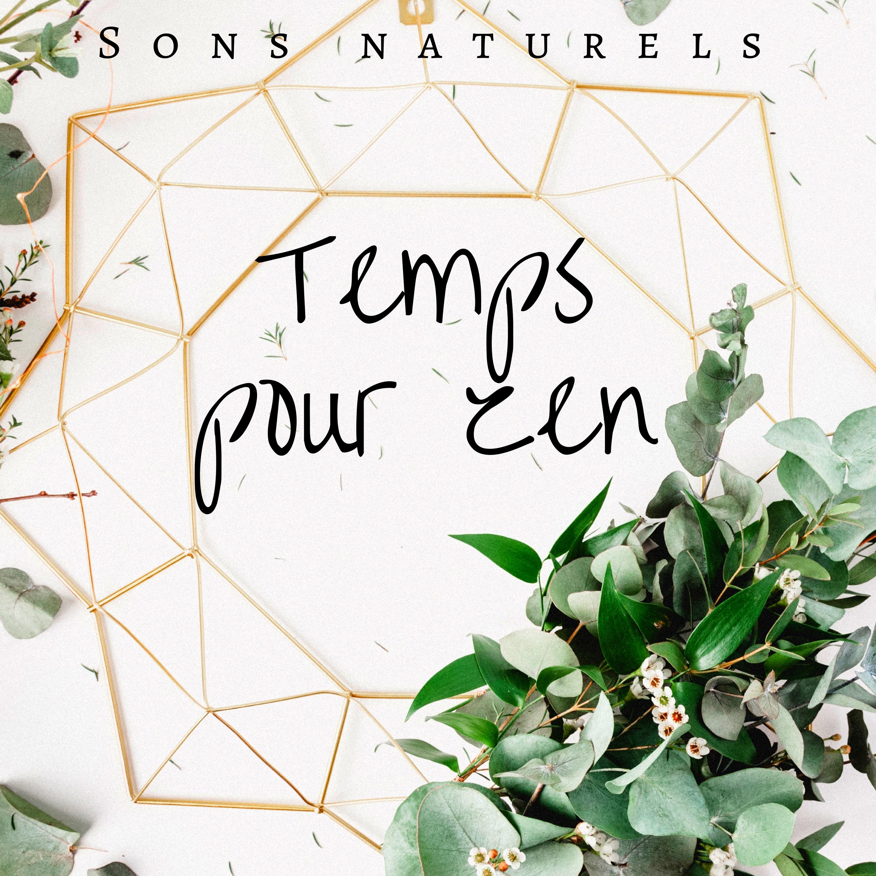 Temps pour zen