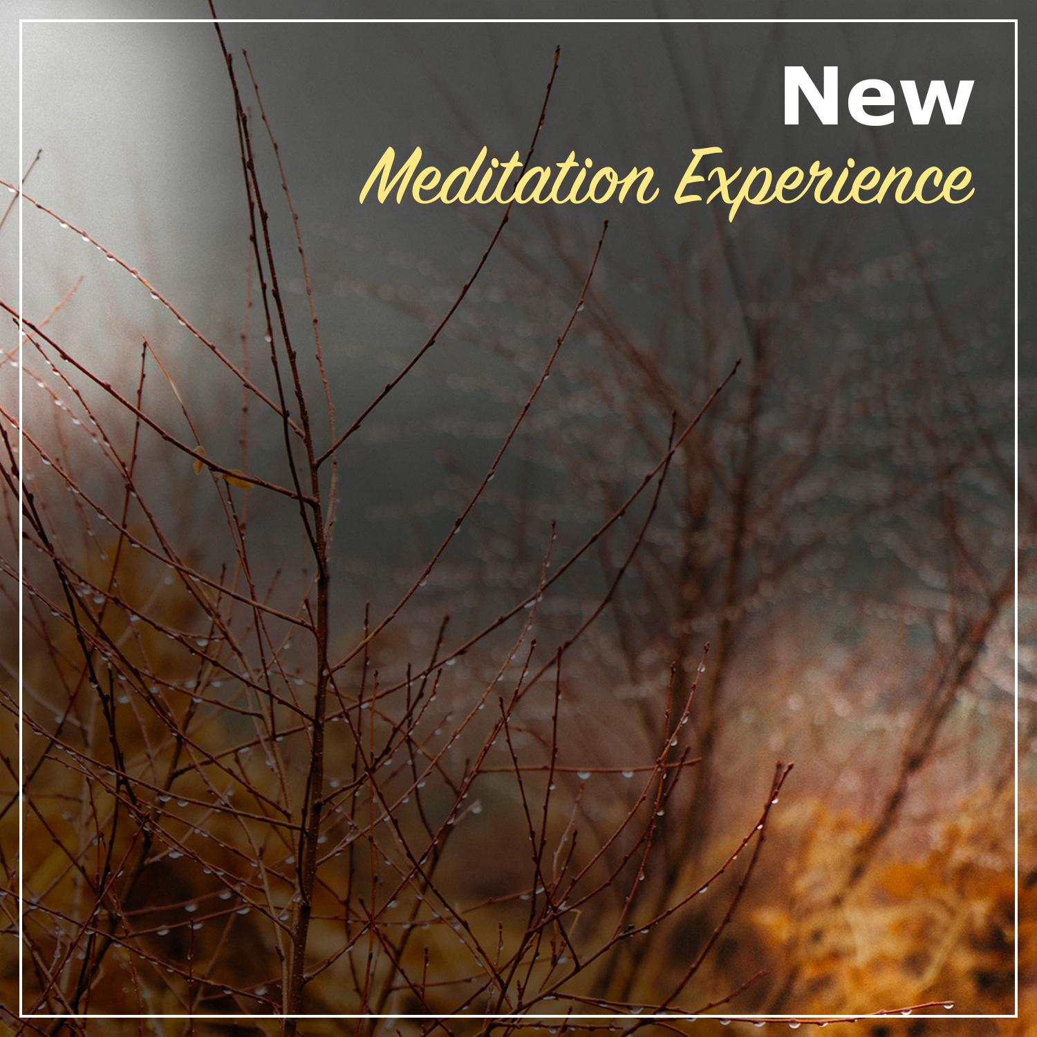 2018 A New Meditation Experience - Natural Rain