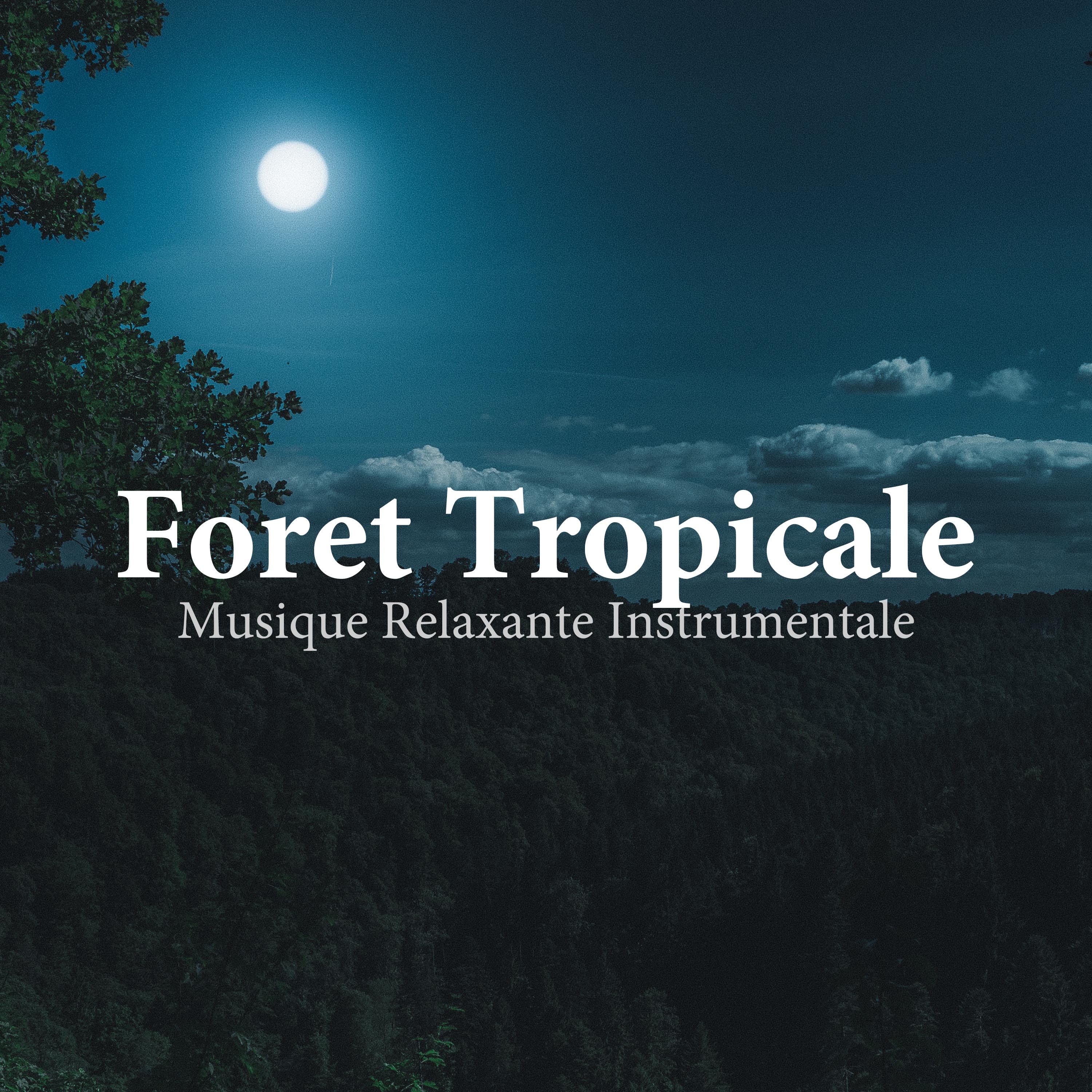 Foret Tropicale: Musique Relaxante Instrumentale, Ethnique Fl te et Nature, Ambiance de la For t Avec Bruit de L' eau