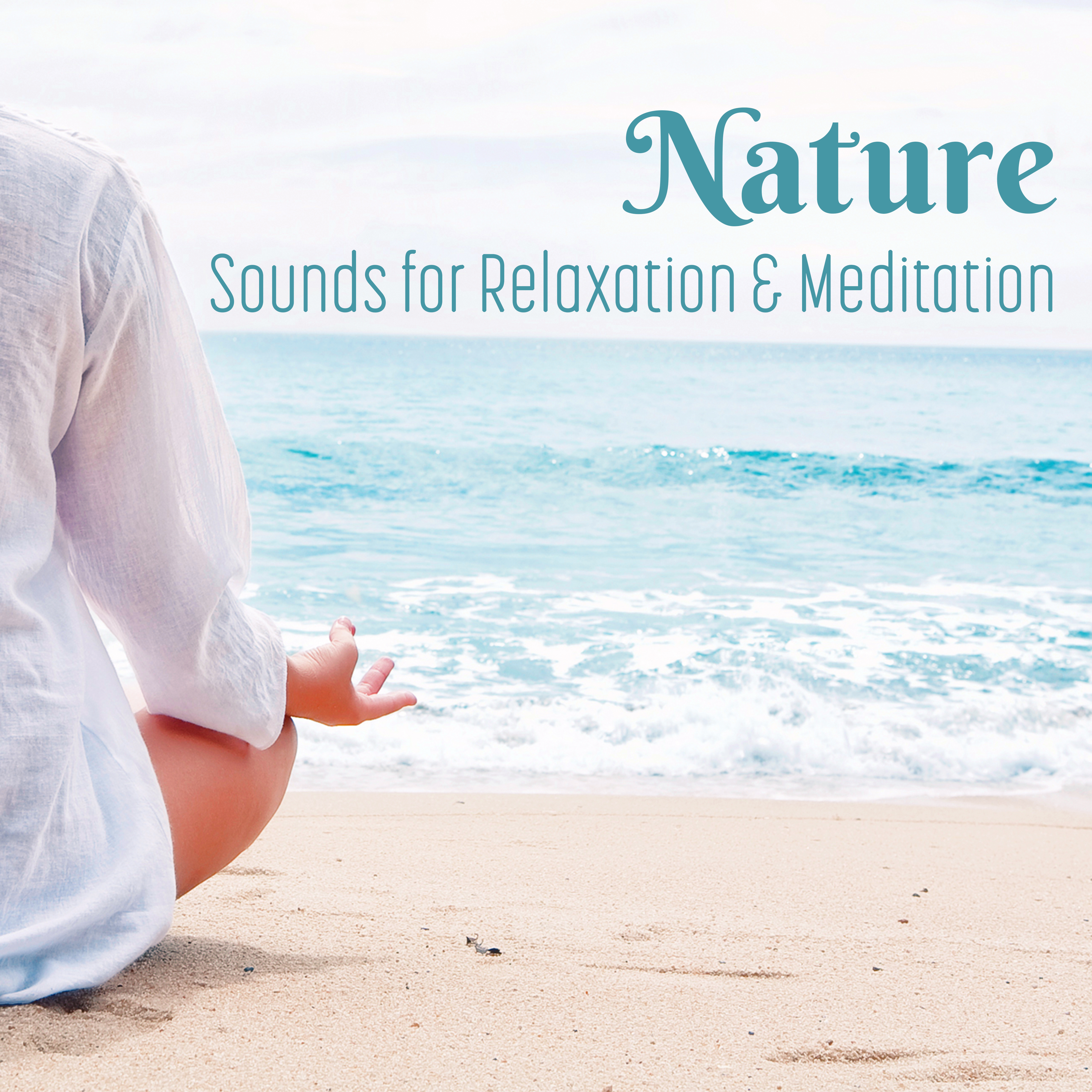 Nature Sounds for Relaxation & Meditation