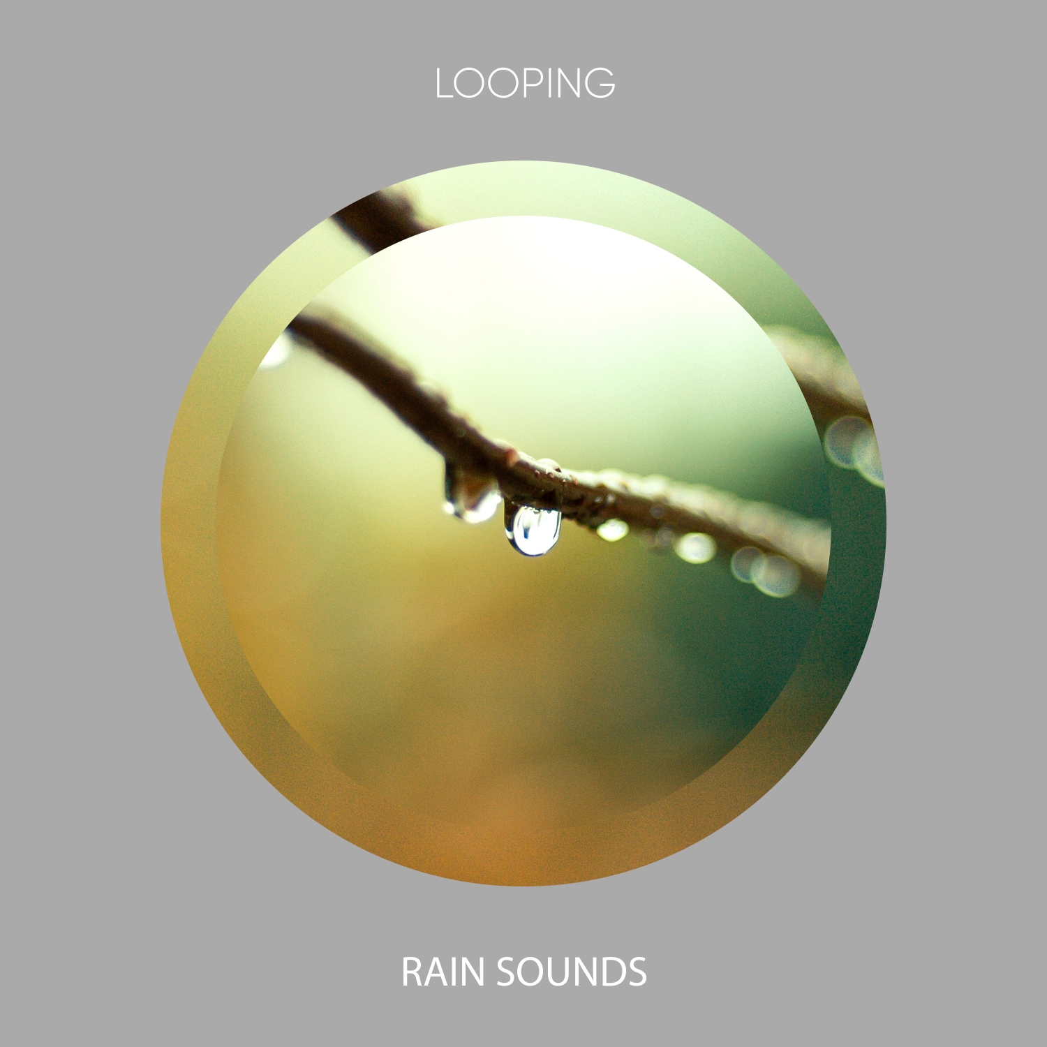 15 Looping Rain Sounds for Ultimate Relaxation