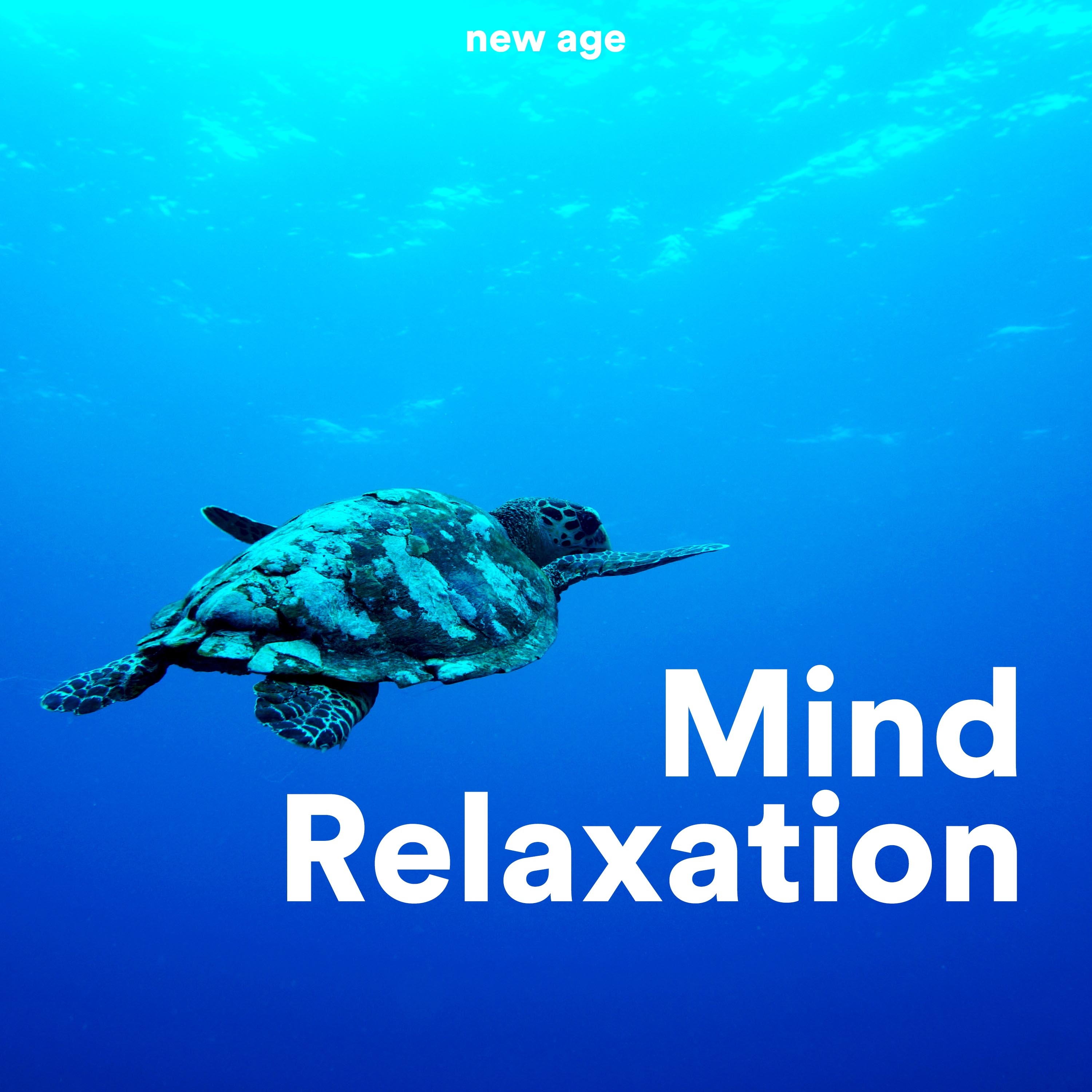 Mind Relaxation - Relaxing, Soft Instrumental Music with Nature Sounds