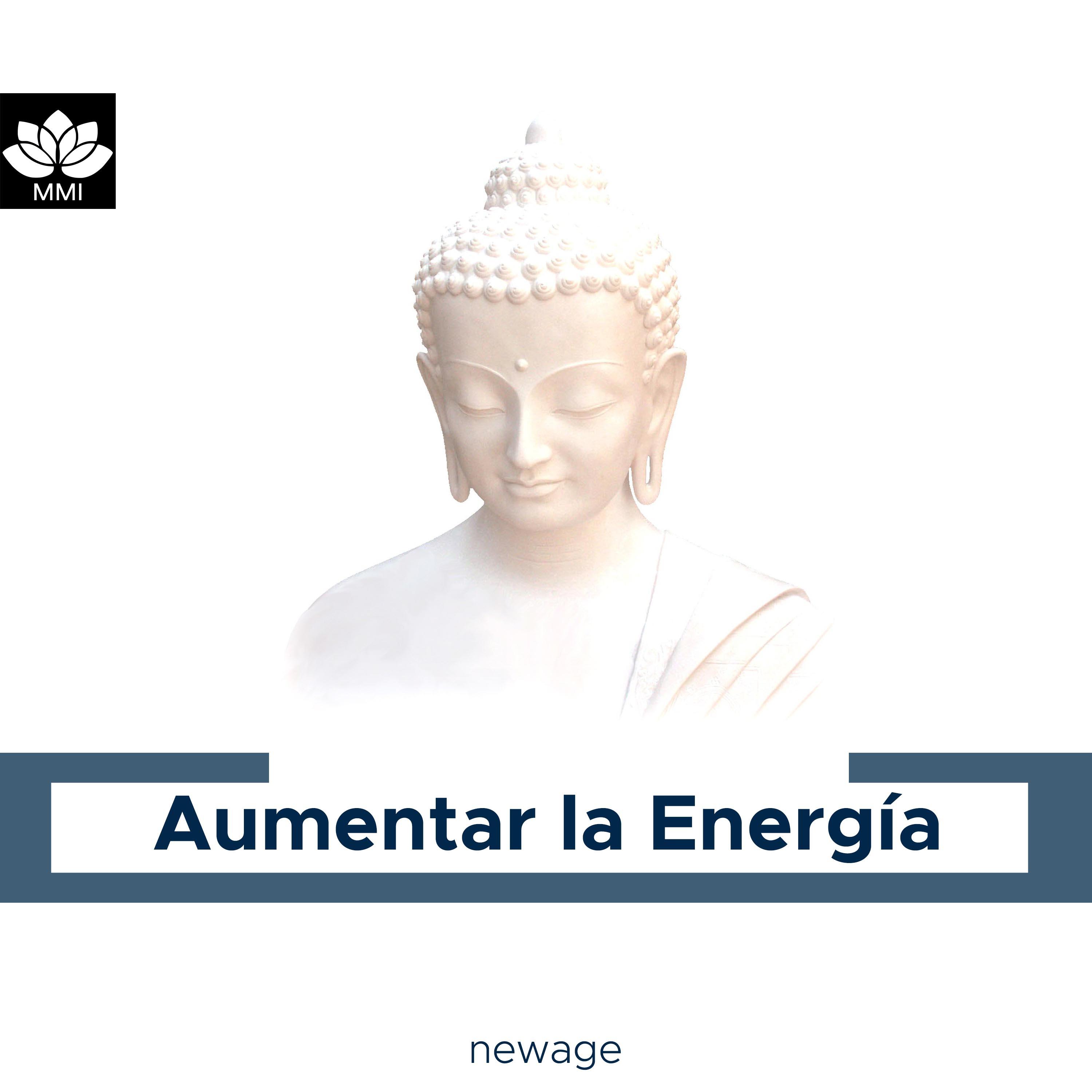 Aumentar la Energi a  Relajacio n Guiada, el Yoga, Meditacioo n, Transformacio n Intelectual y Pensamientos Positivos