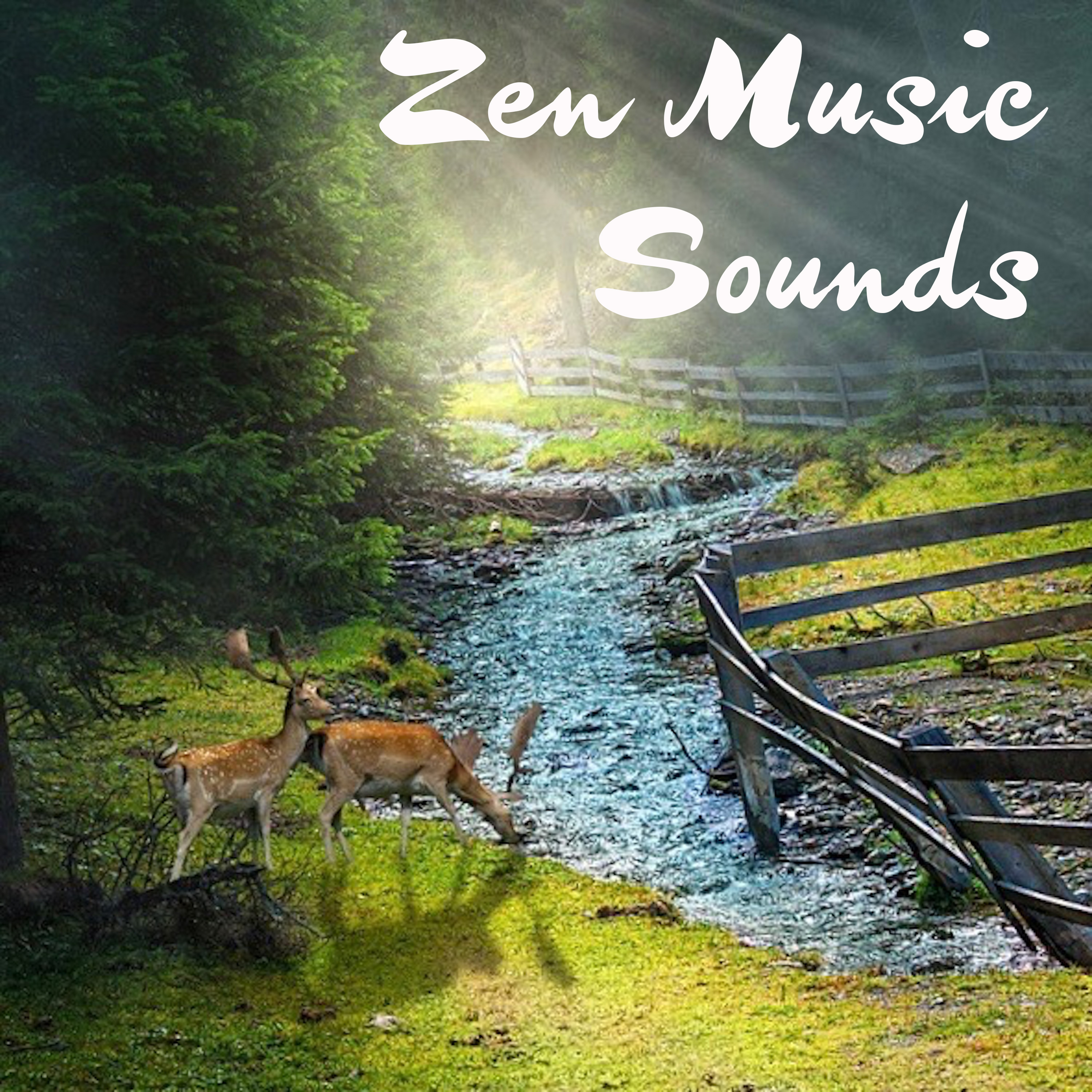 14 Zen Music Sounds - Rain and Waves