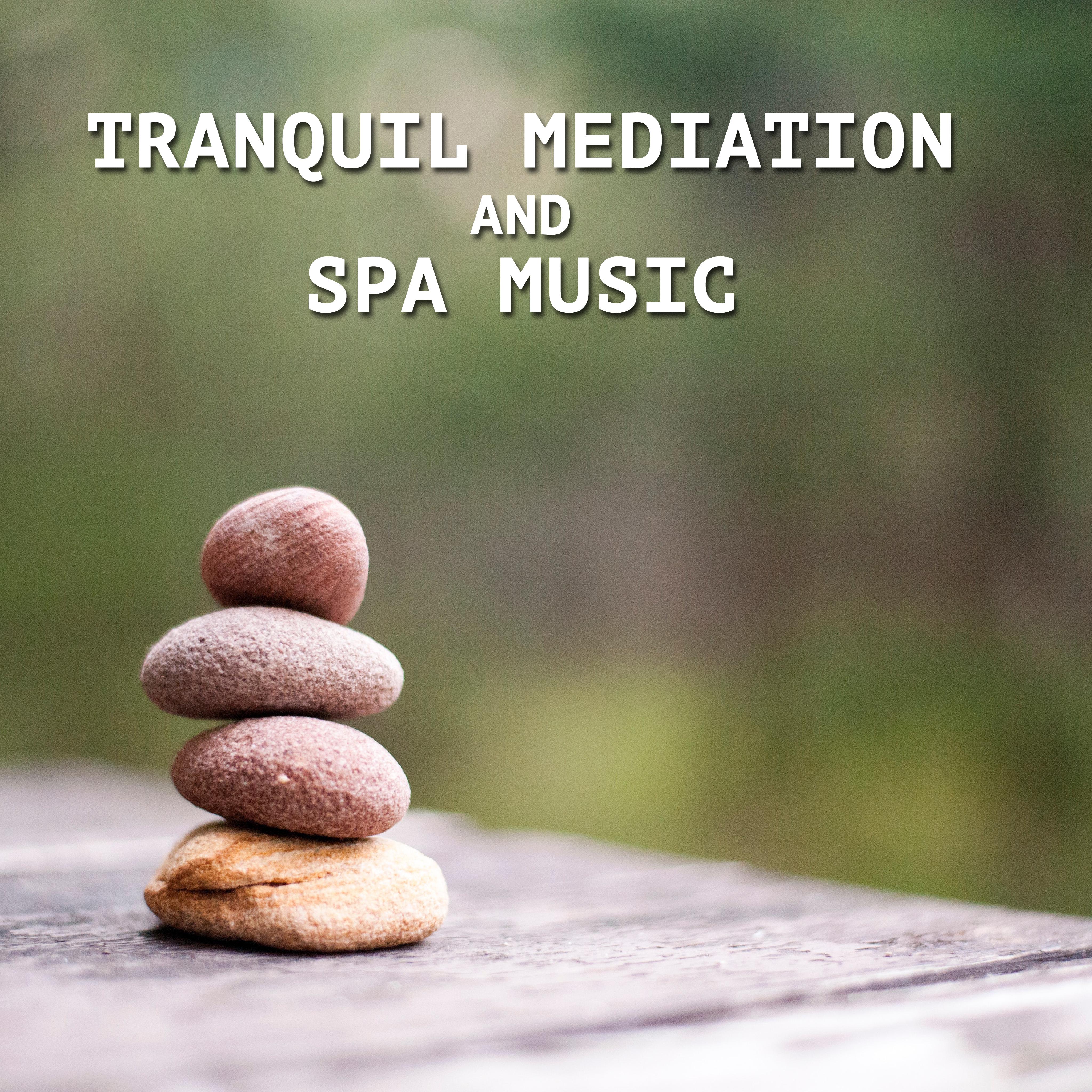 13 Tranquil Mediation and Spa Music