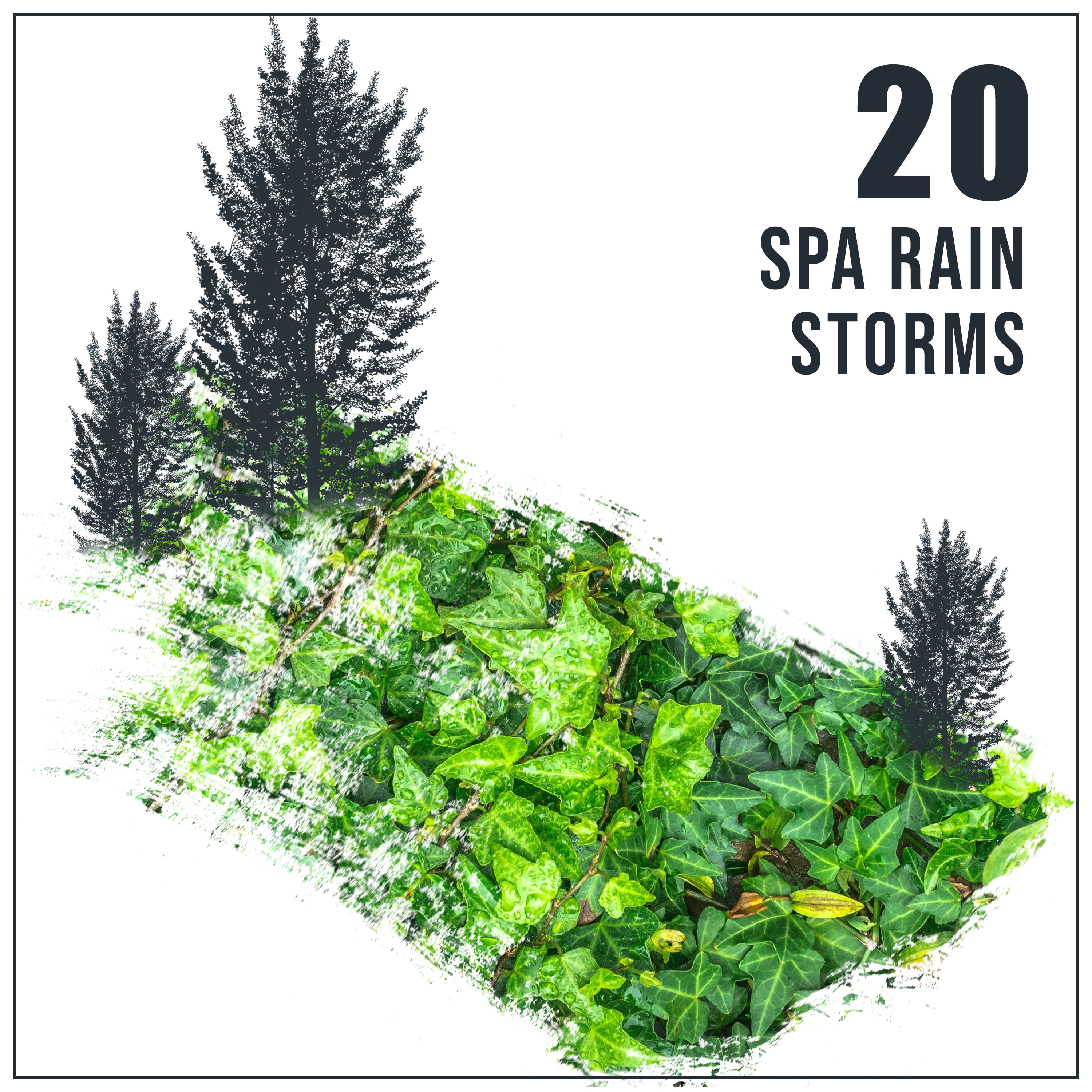 2018 Spa Rain Storms for Ultimate Relaxation
