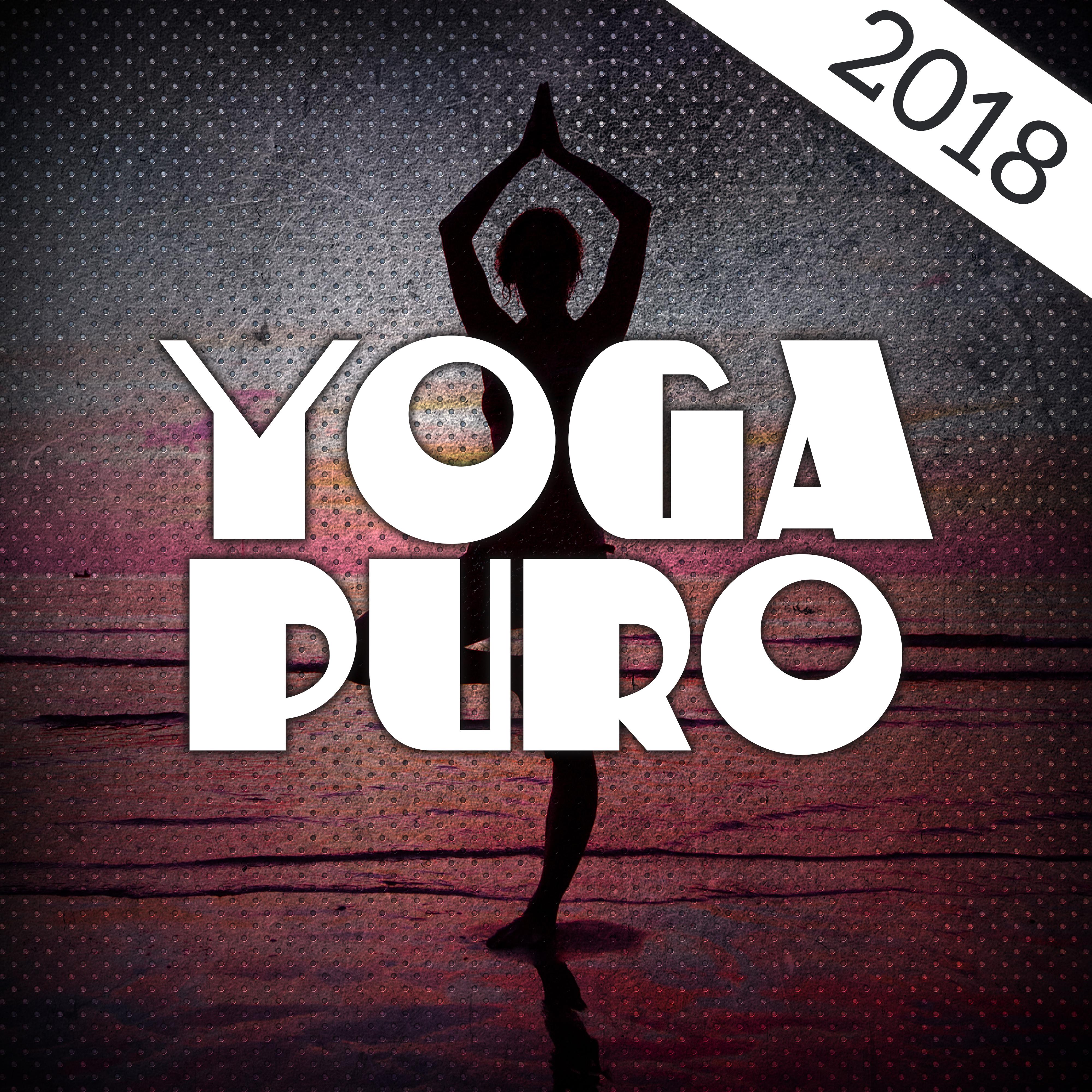 Yoga Puro 2018