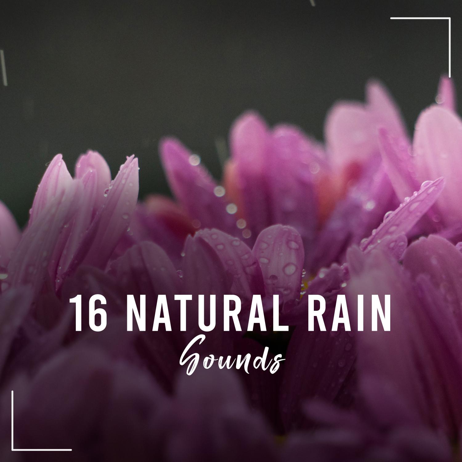 16 Natural Rain Sounds for Sleep, Relaxation, Yoga, Meditation, Zen, Peace and Calm