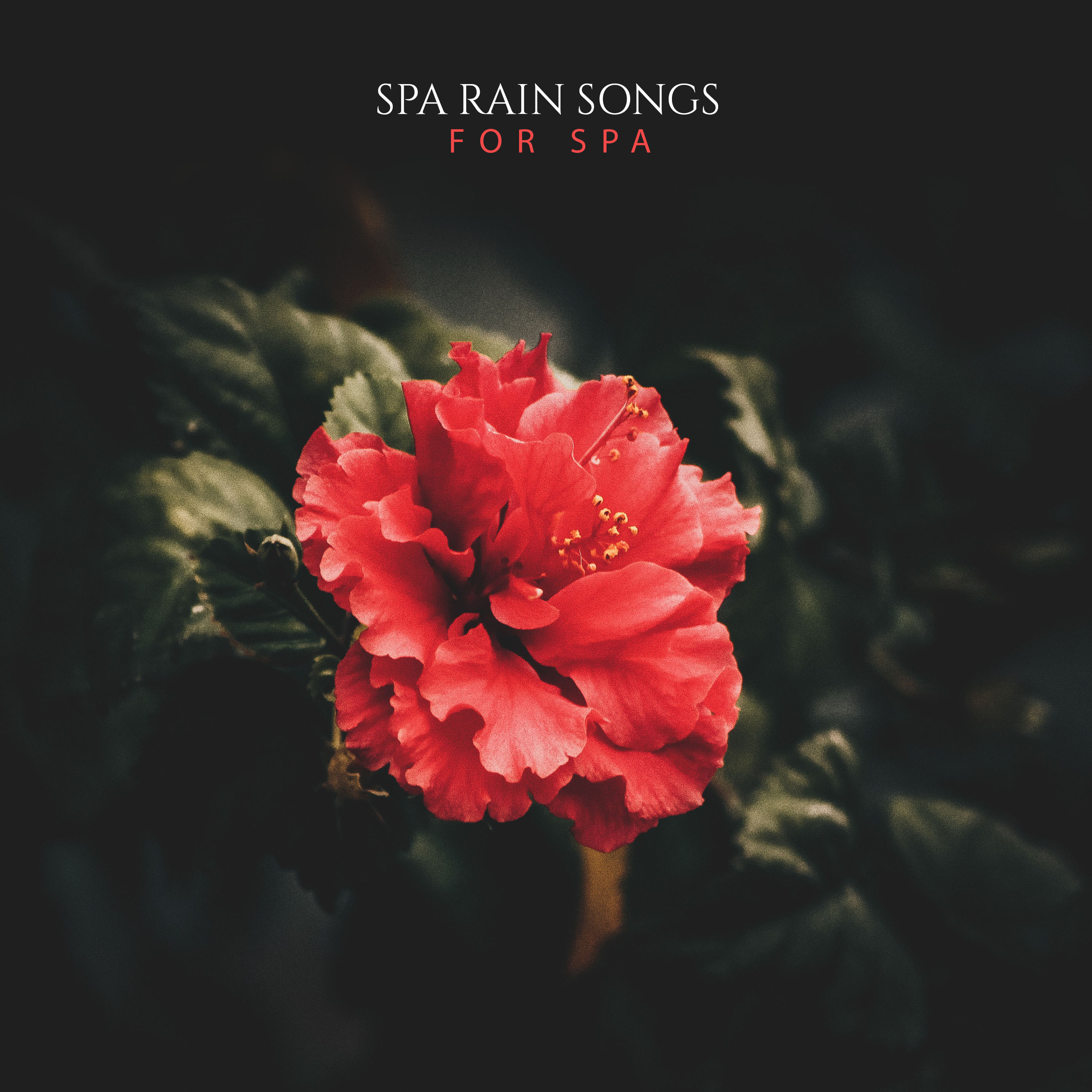 #15 Spa Rain Songs for Spa