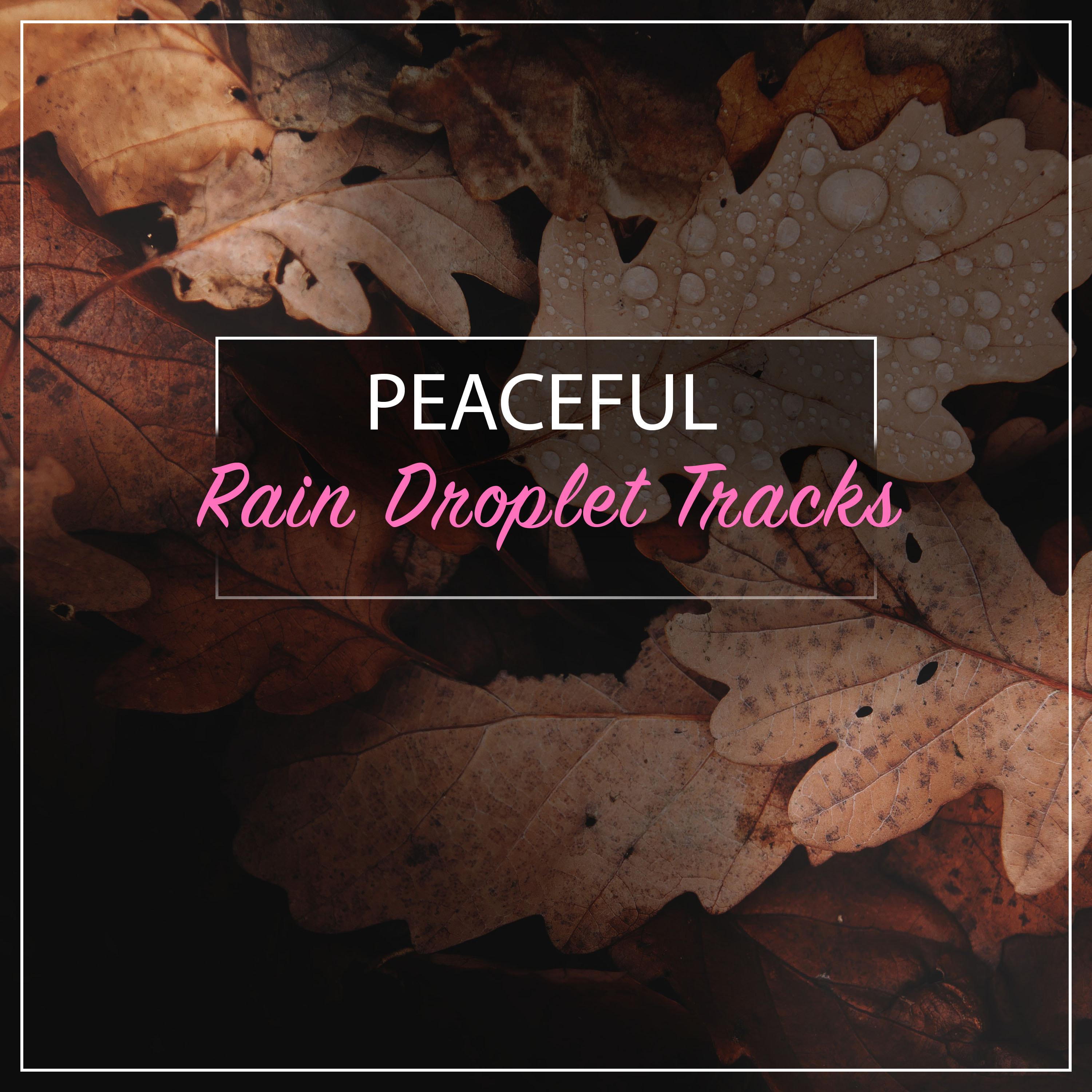 #16 Peaceful Rain Droplet Tracks