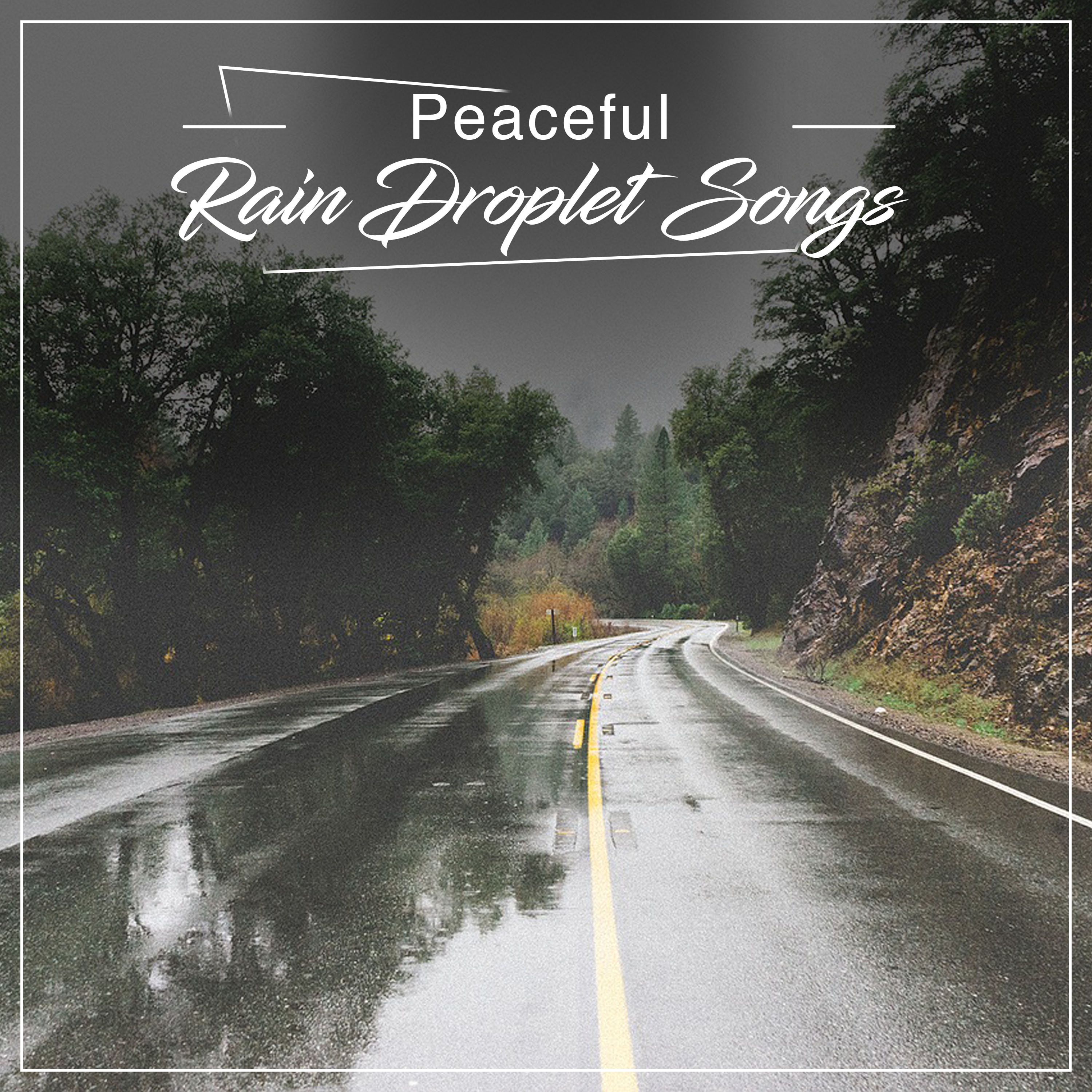 #20 Peaceful Rain Droplet Songs